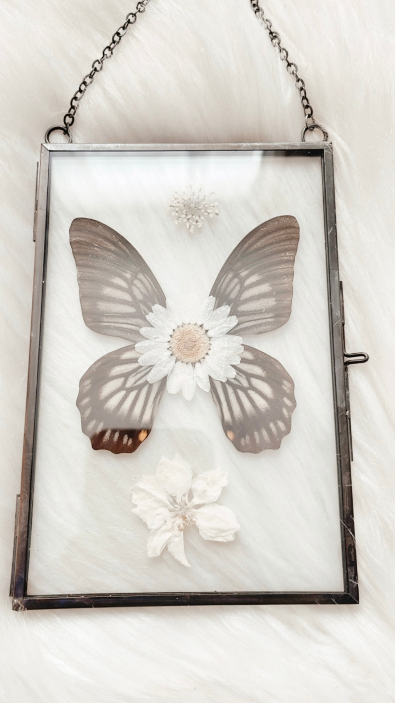 Maeve Butterfly Floral Frame