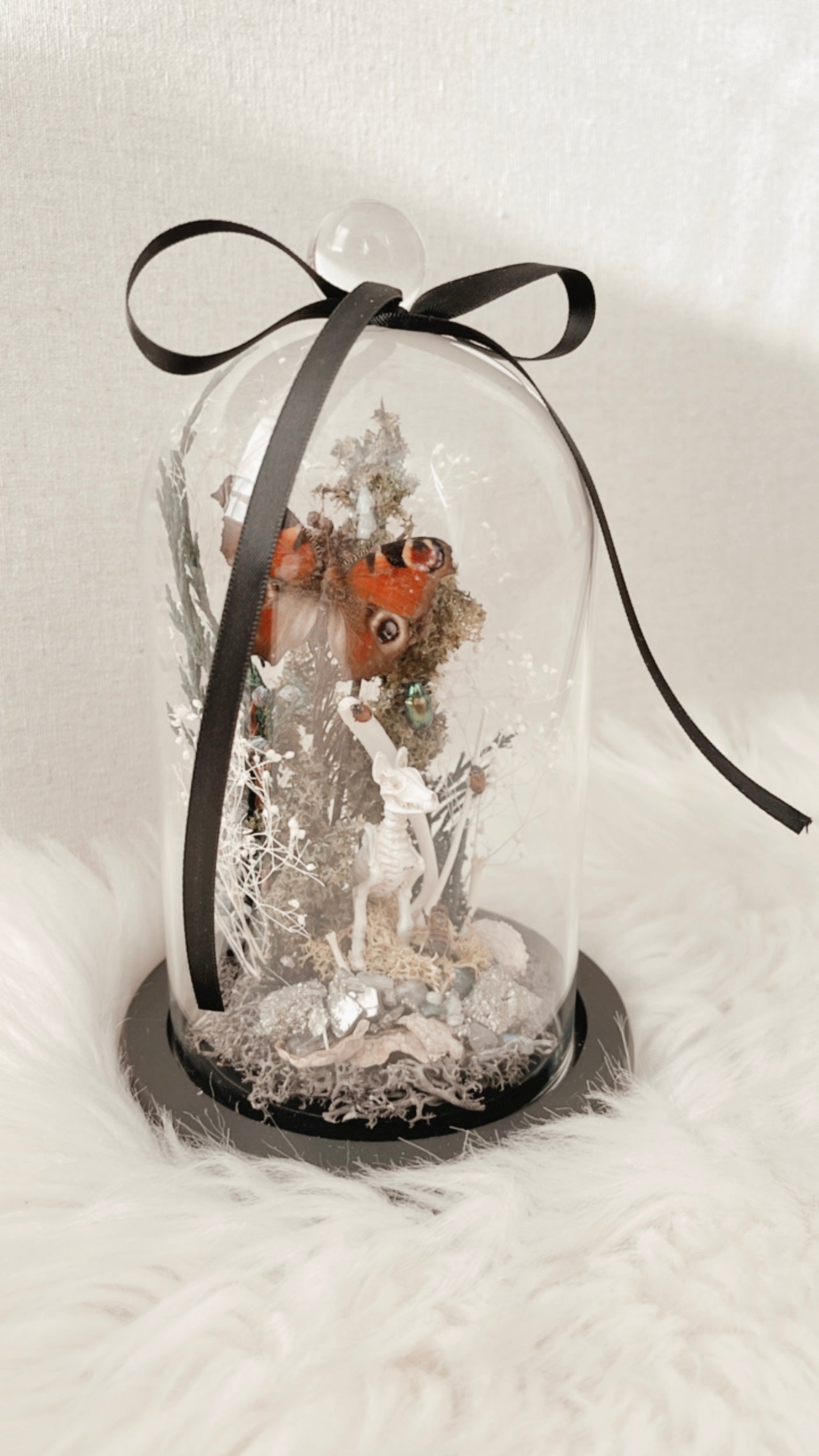 Hazel Terrarium (LOCAL PICKUP ONLY)