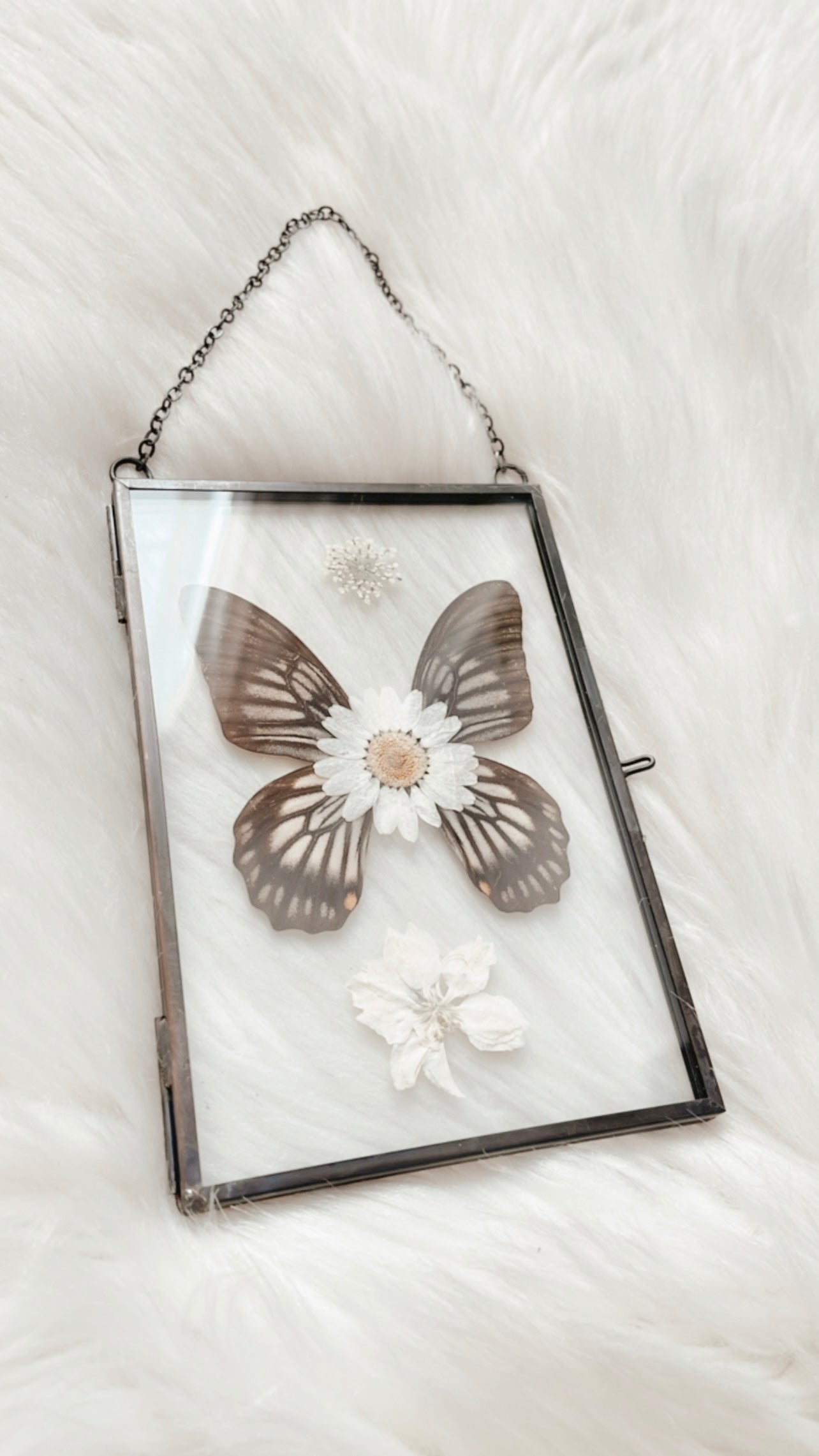 Maeve Butterfly Floral Frame
