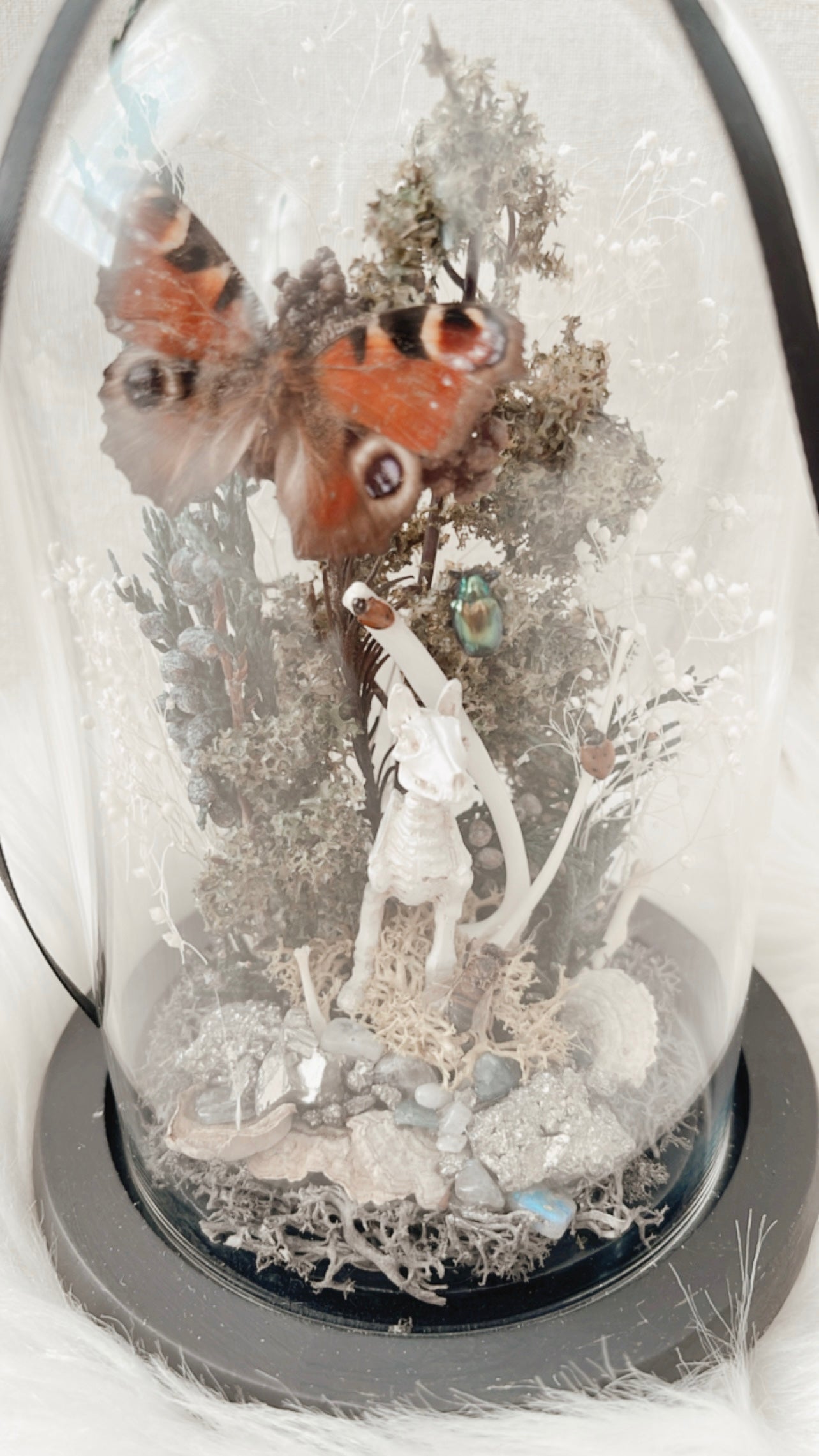 Hazel Terrarium (LOCAL PICKUP ONLY)
