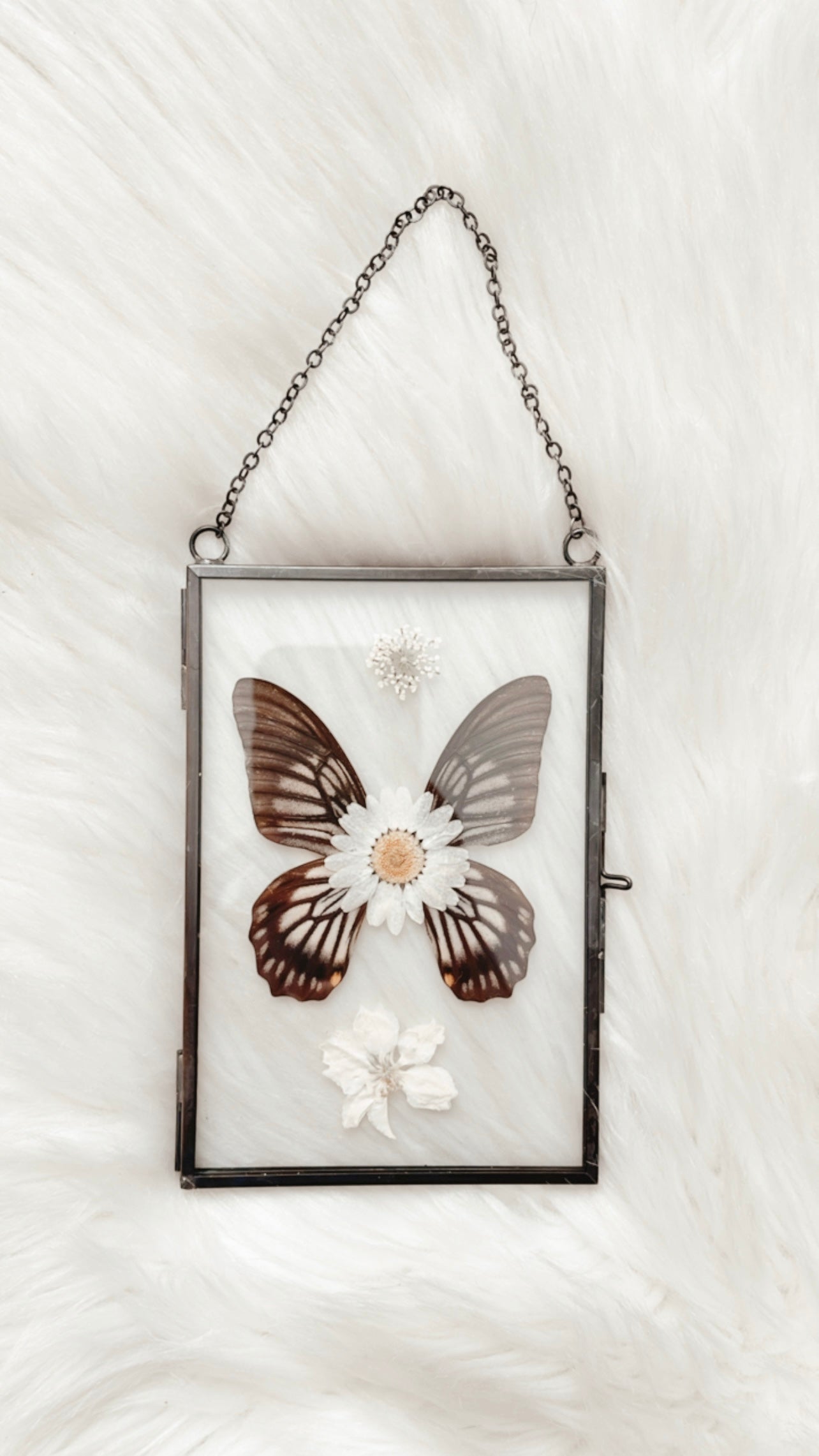 Maeve Butterfly Floral Frame