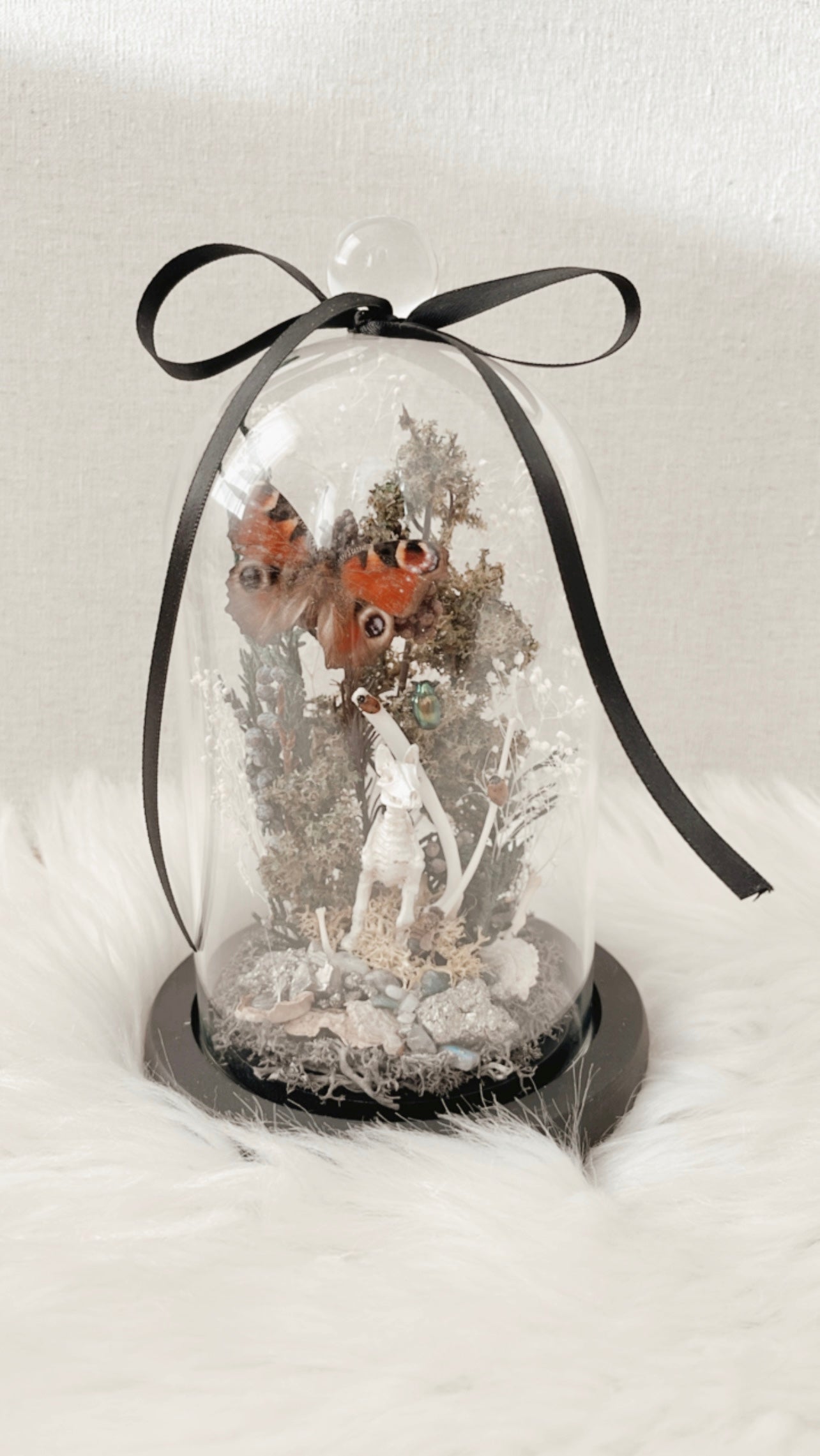 Hazel Terrarium (LOCAL PICKUP ONLY)