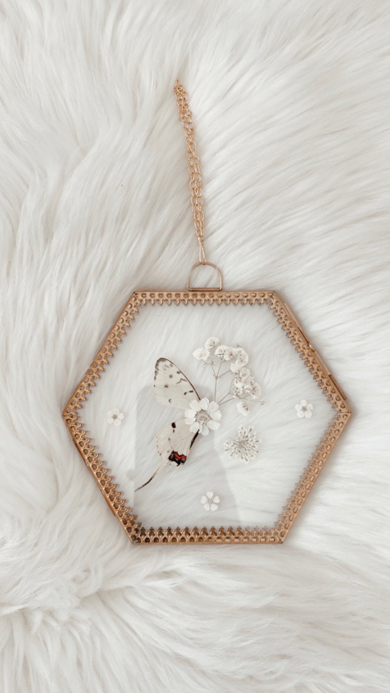 Adeline Butterfly Floral Frame