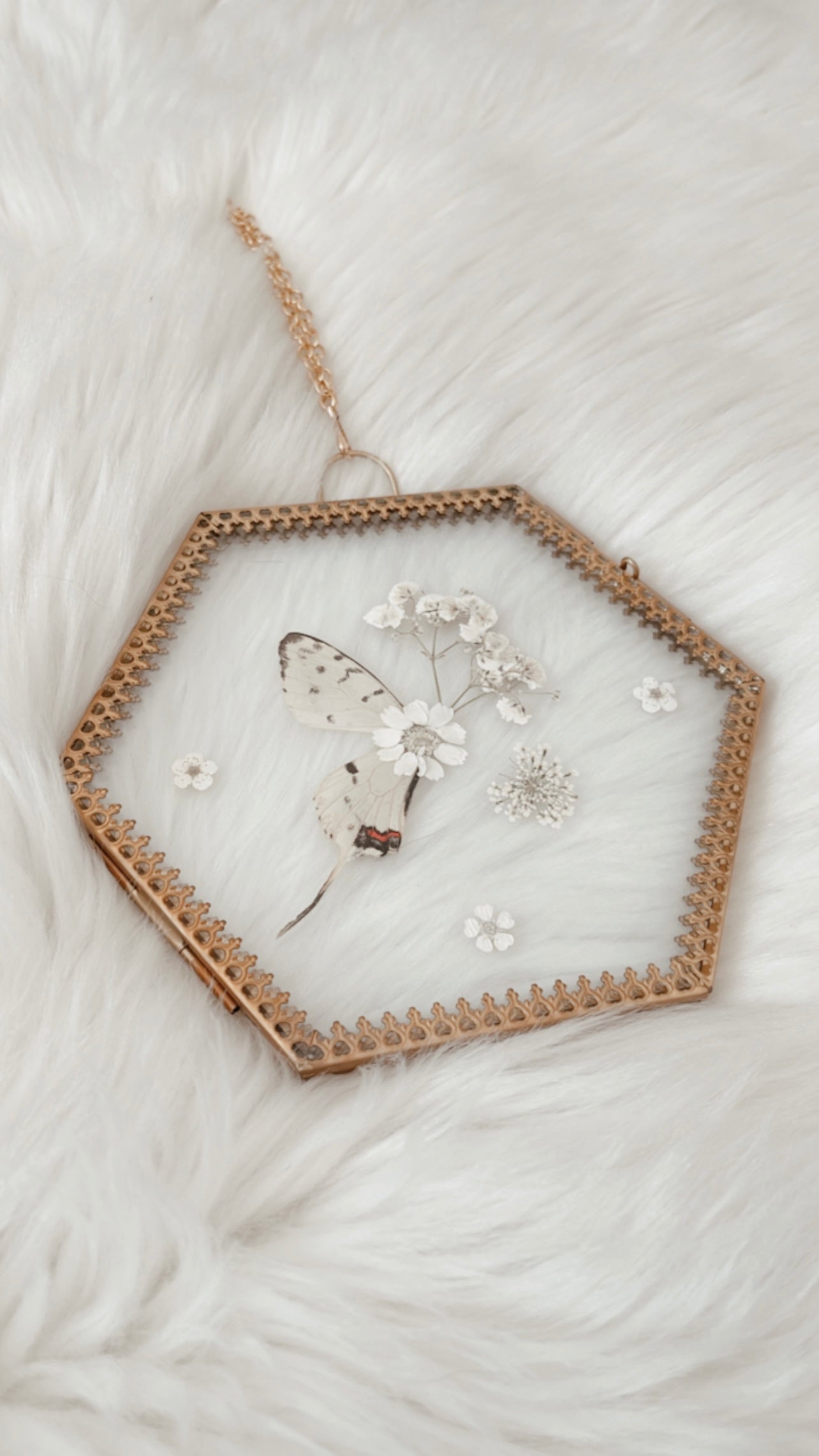Adeline Butterfly Floral Frame