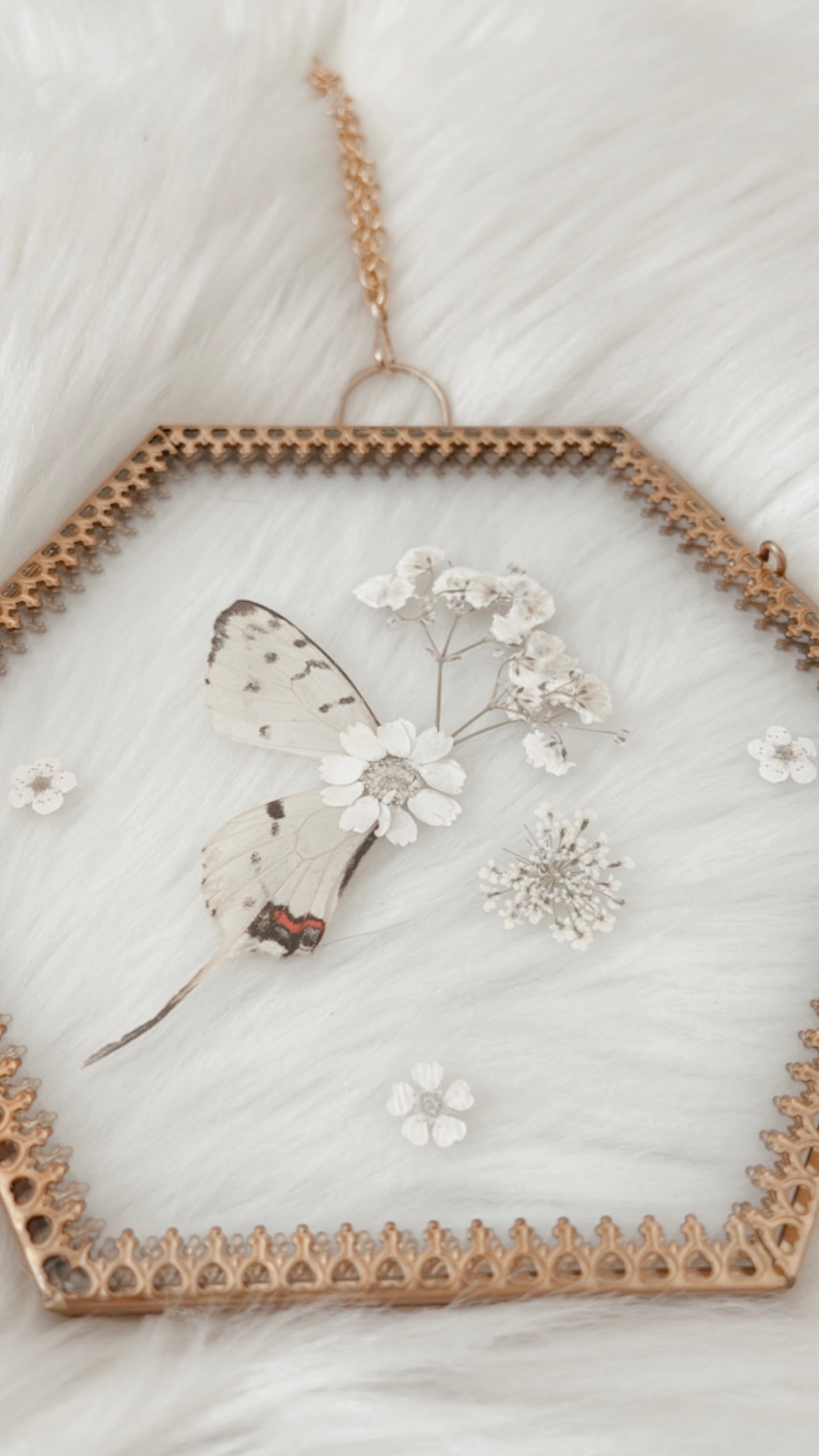 Adeline Butterfly Floral Frame