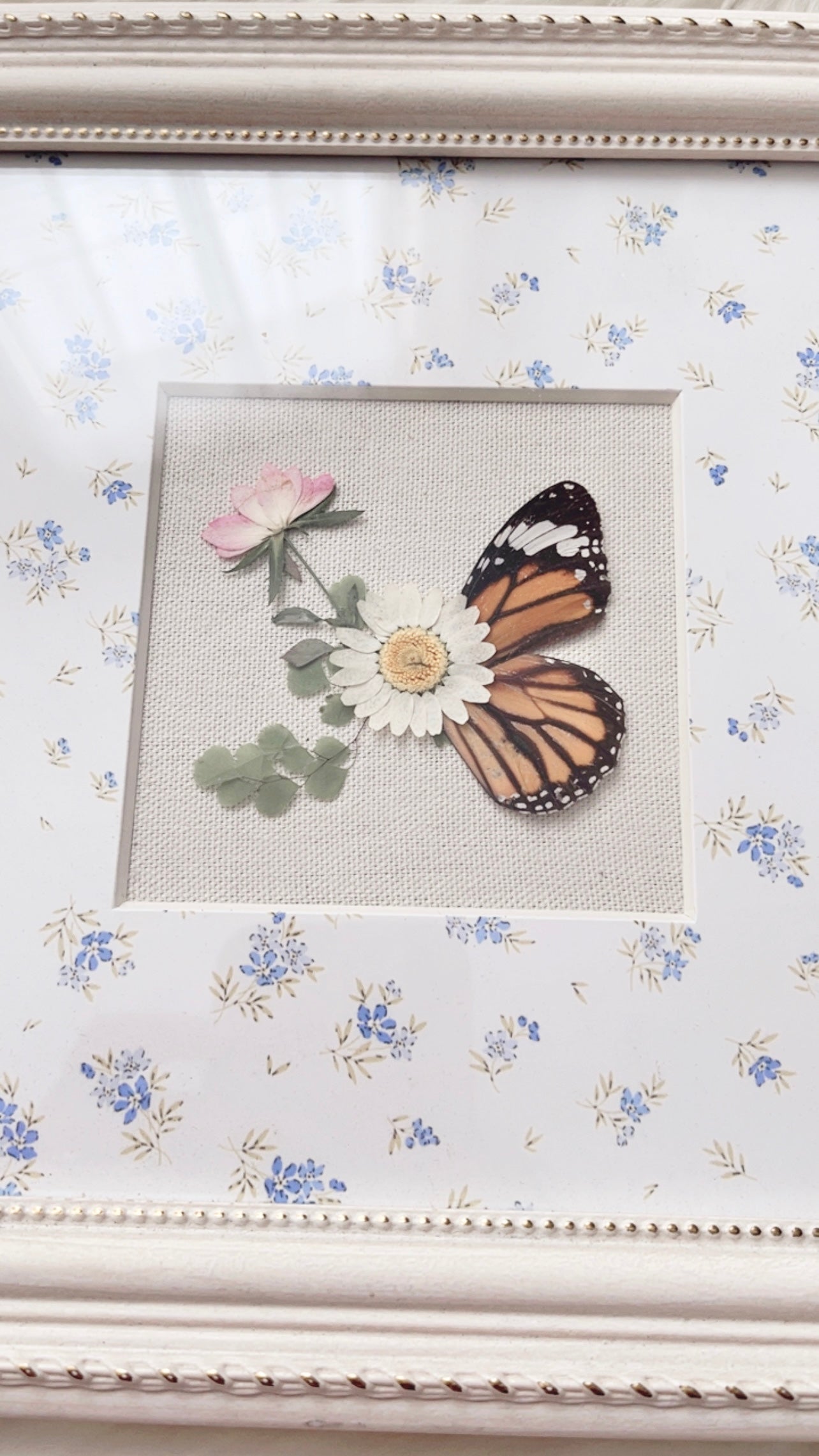 Adeline Butterfly Ornate Frame