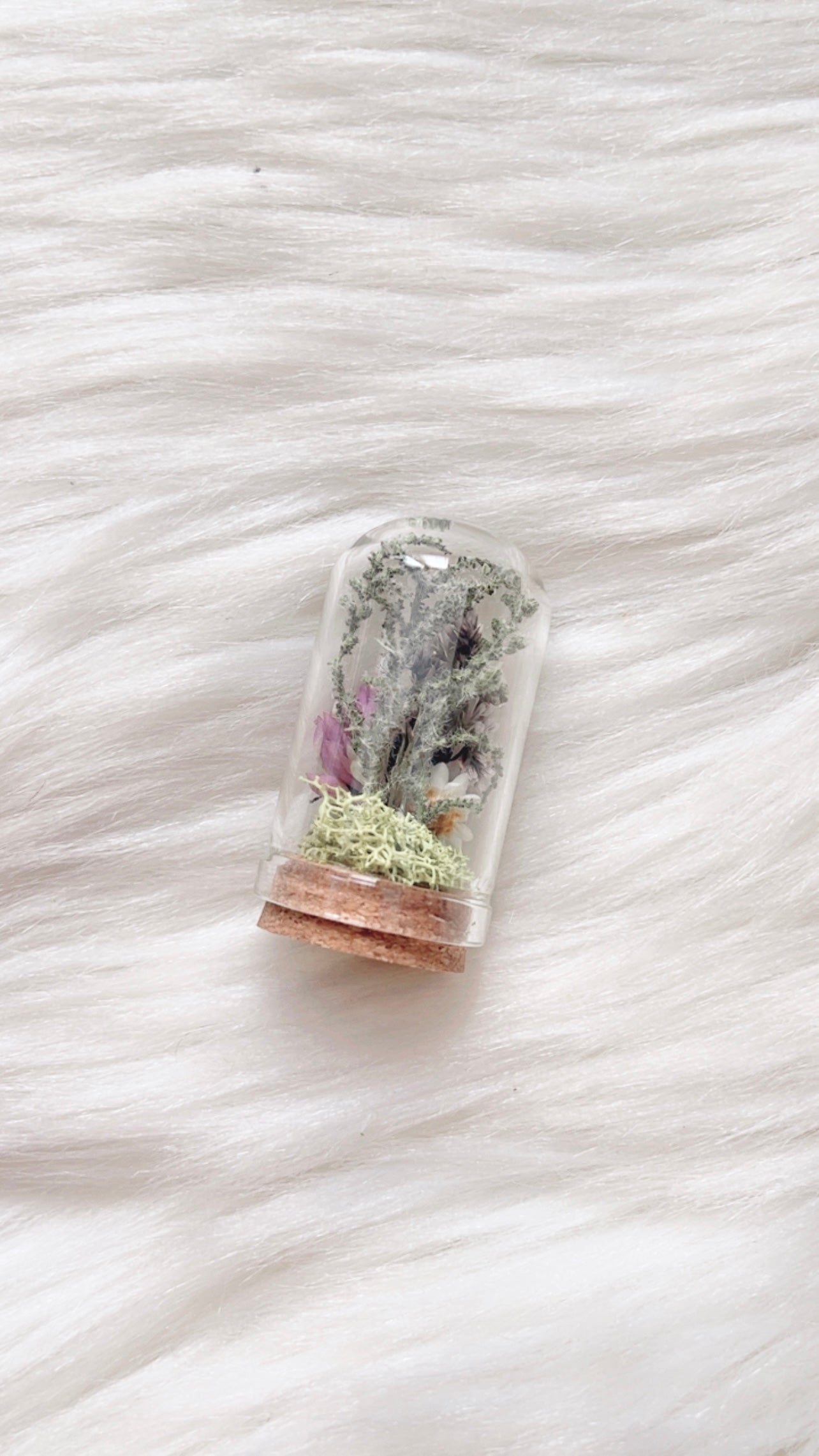 Adia Terrarium