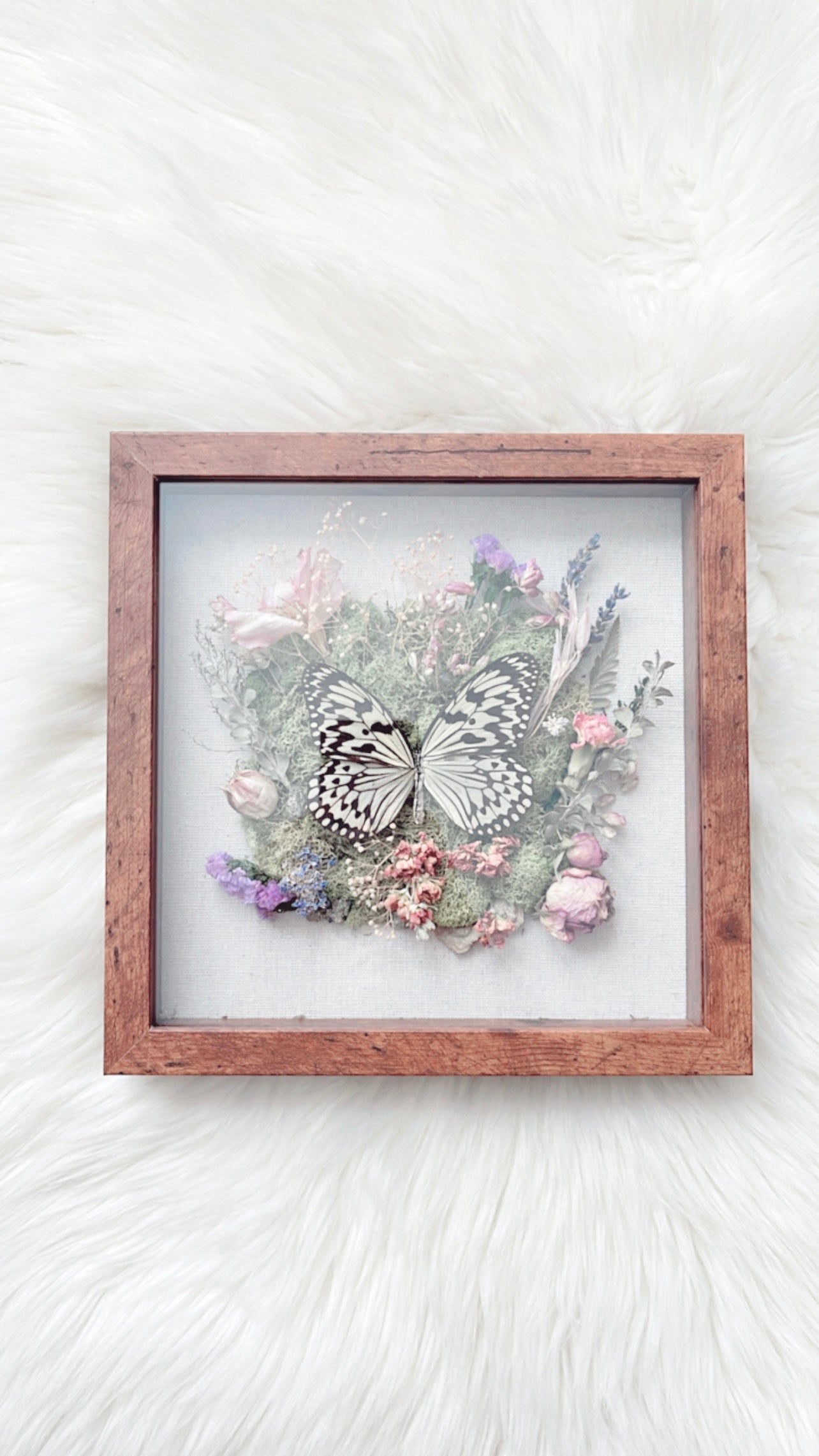 Alana Butterfly Floral Shadow Box