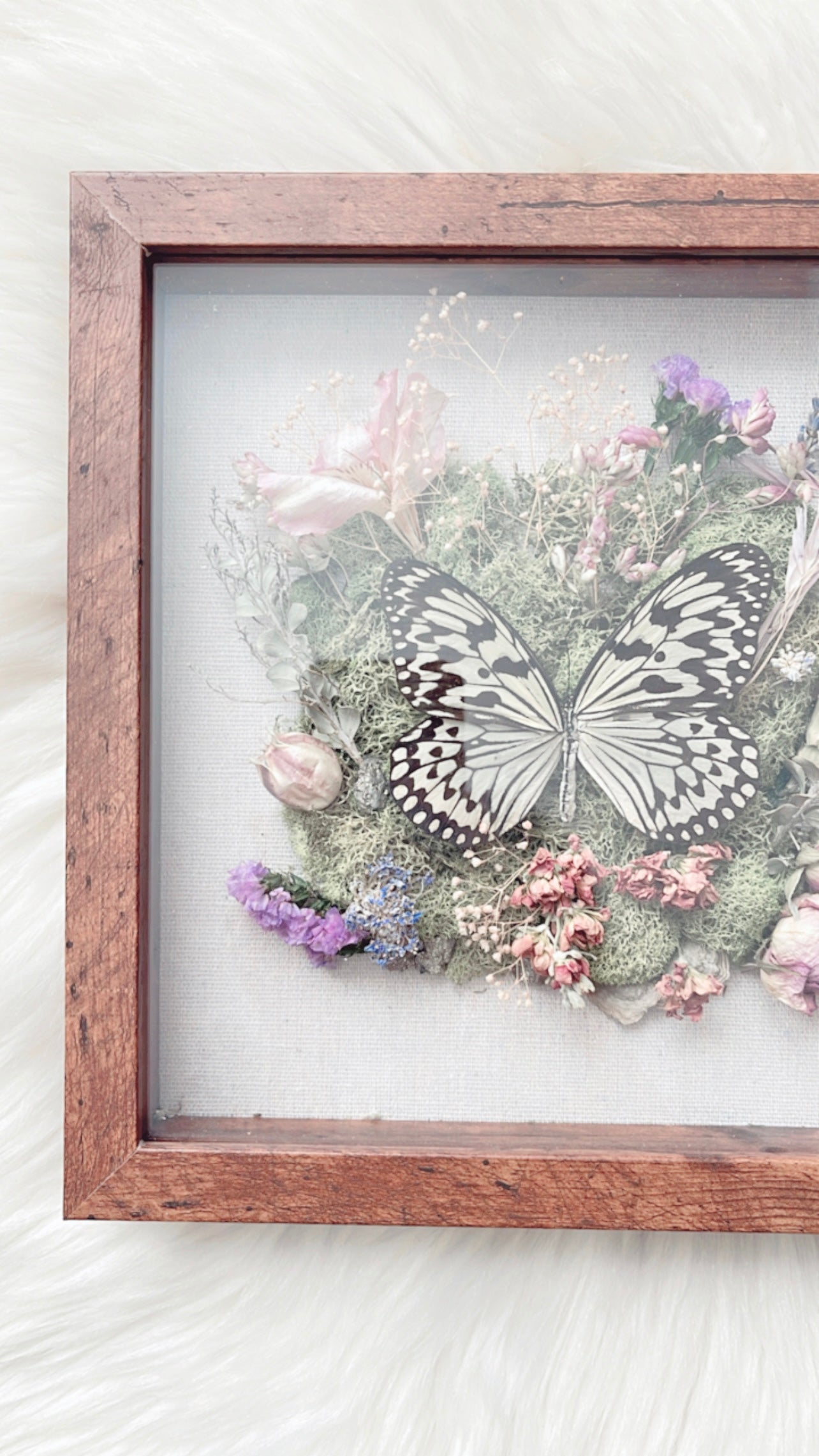 Alana Butterfly Floral Shadow Box