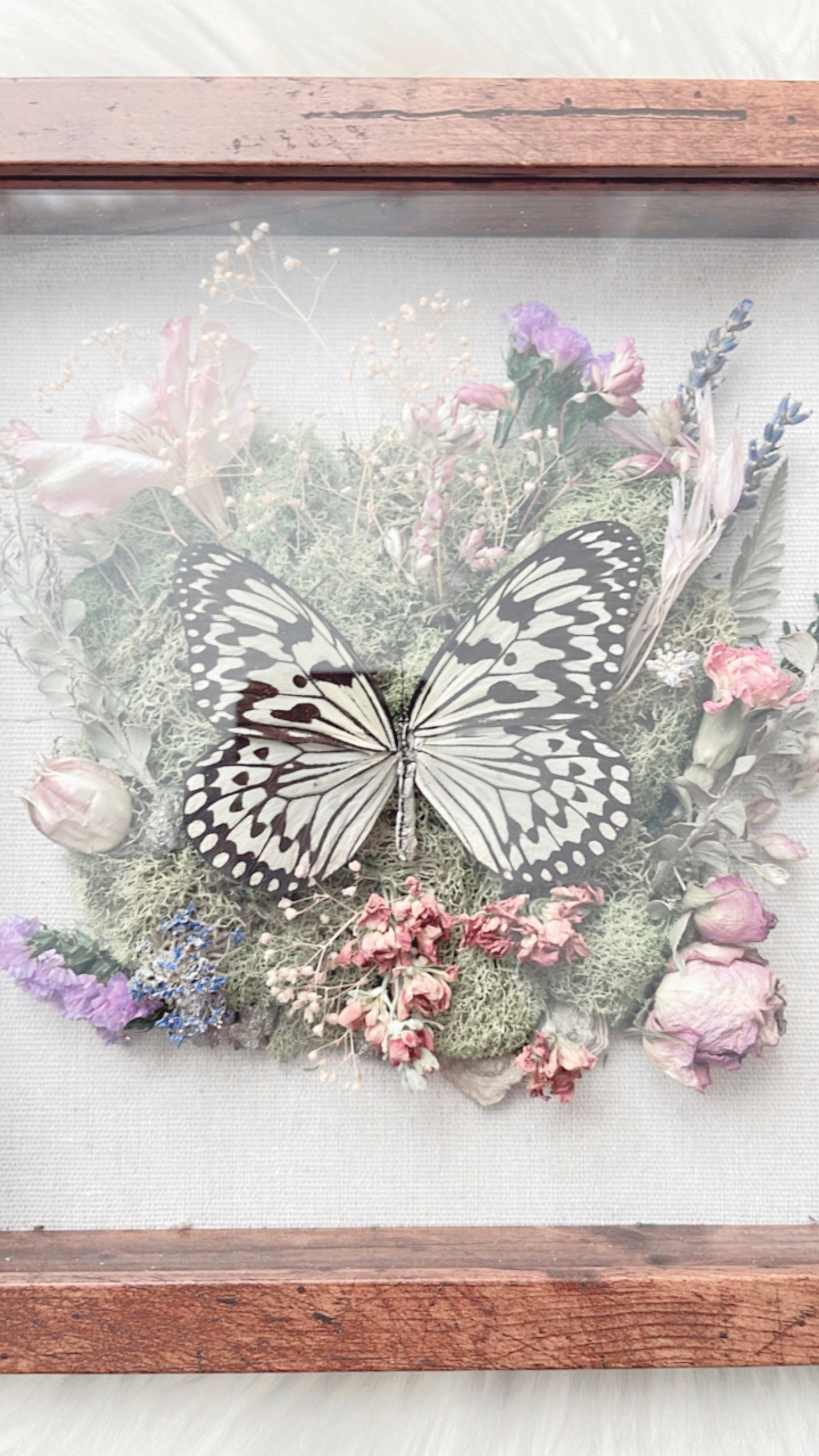 Alana Butterfly Floral Shadow Box