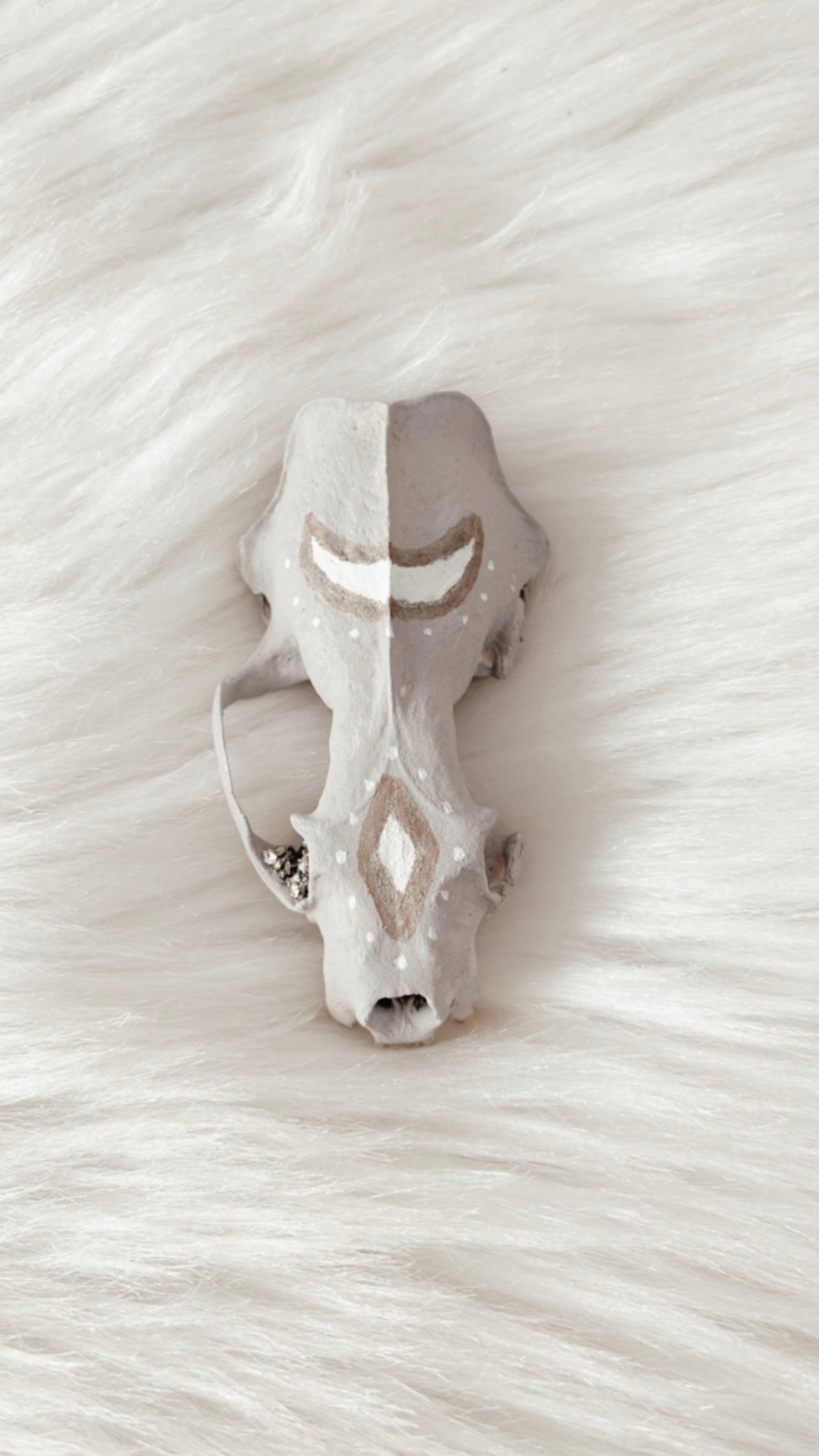 Alchemy Mink Skull