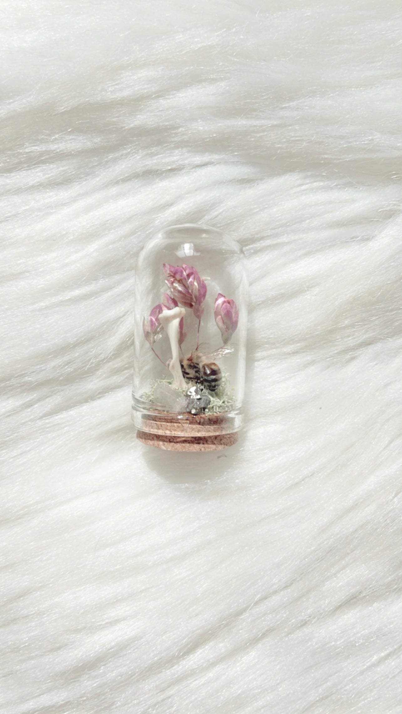 Alden Terrarium