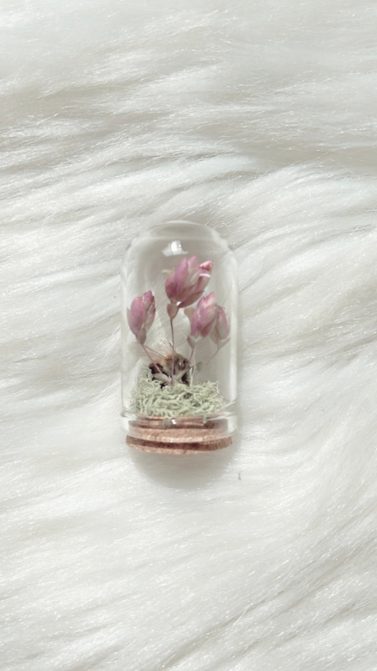 Alden Terrarium