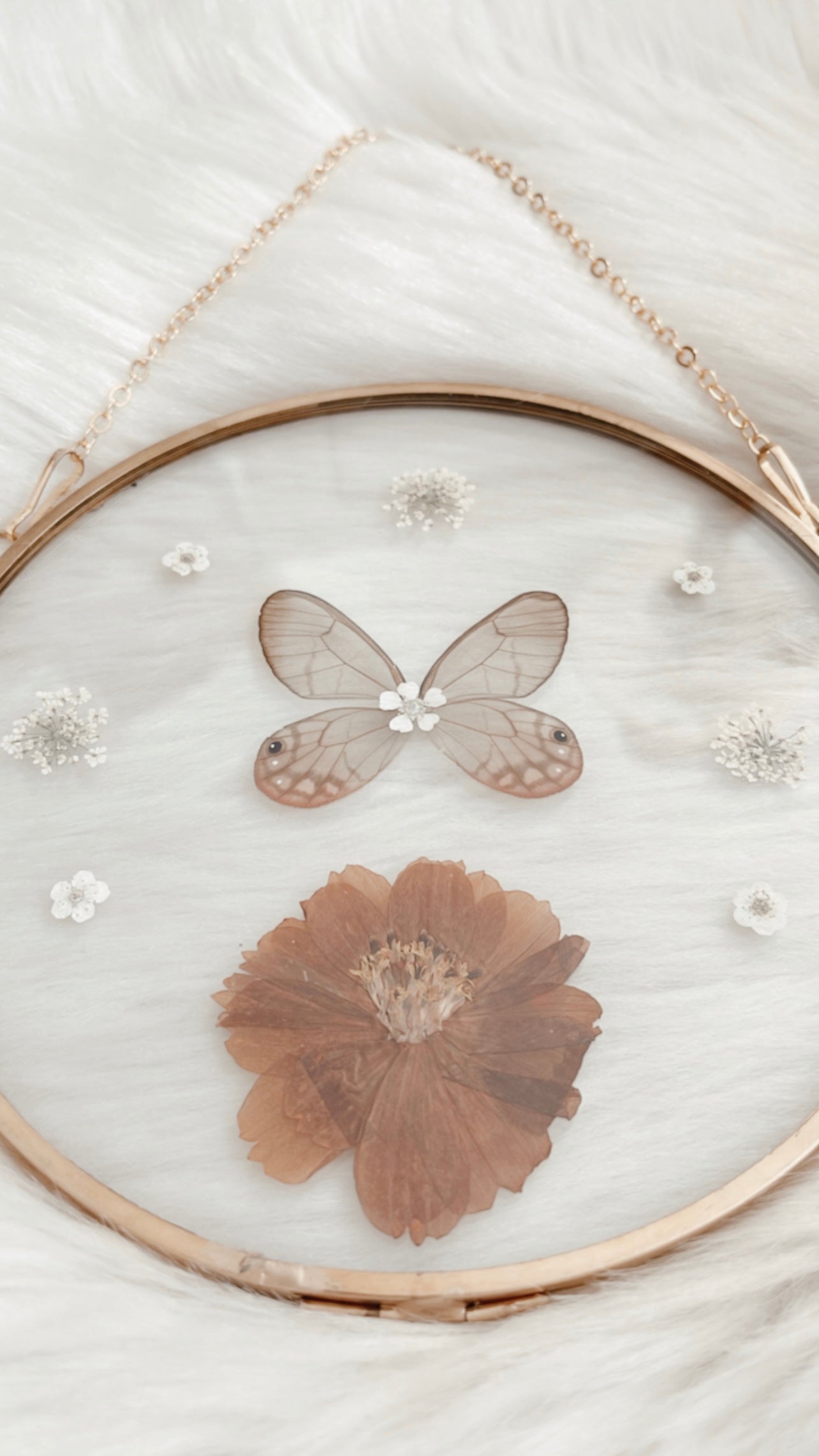 Alice Butterfly Floral Frame