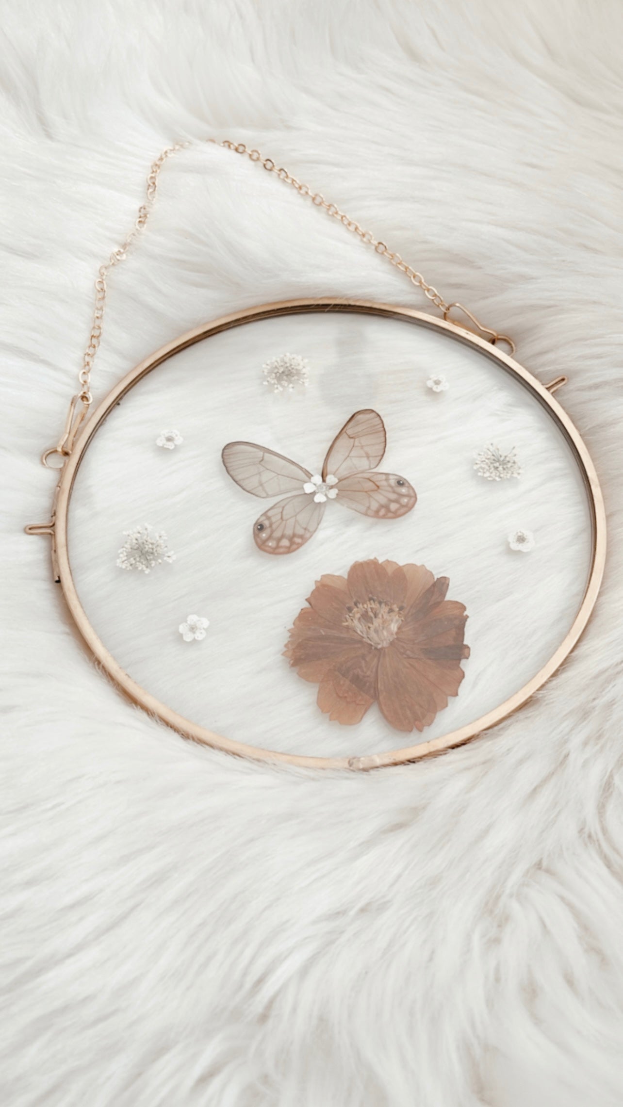 Alice Butterfly Floral Frame