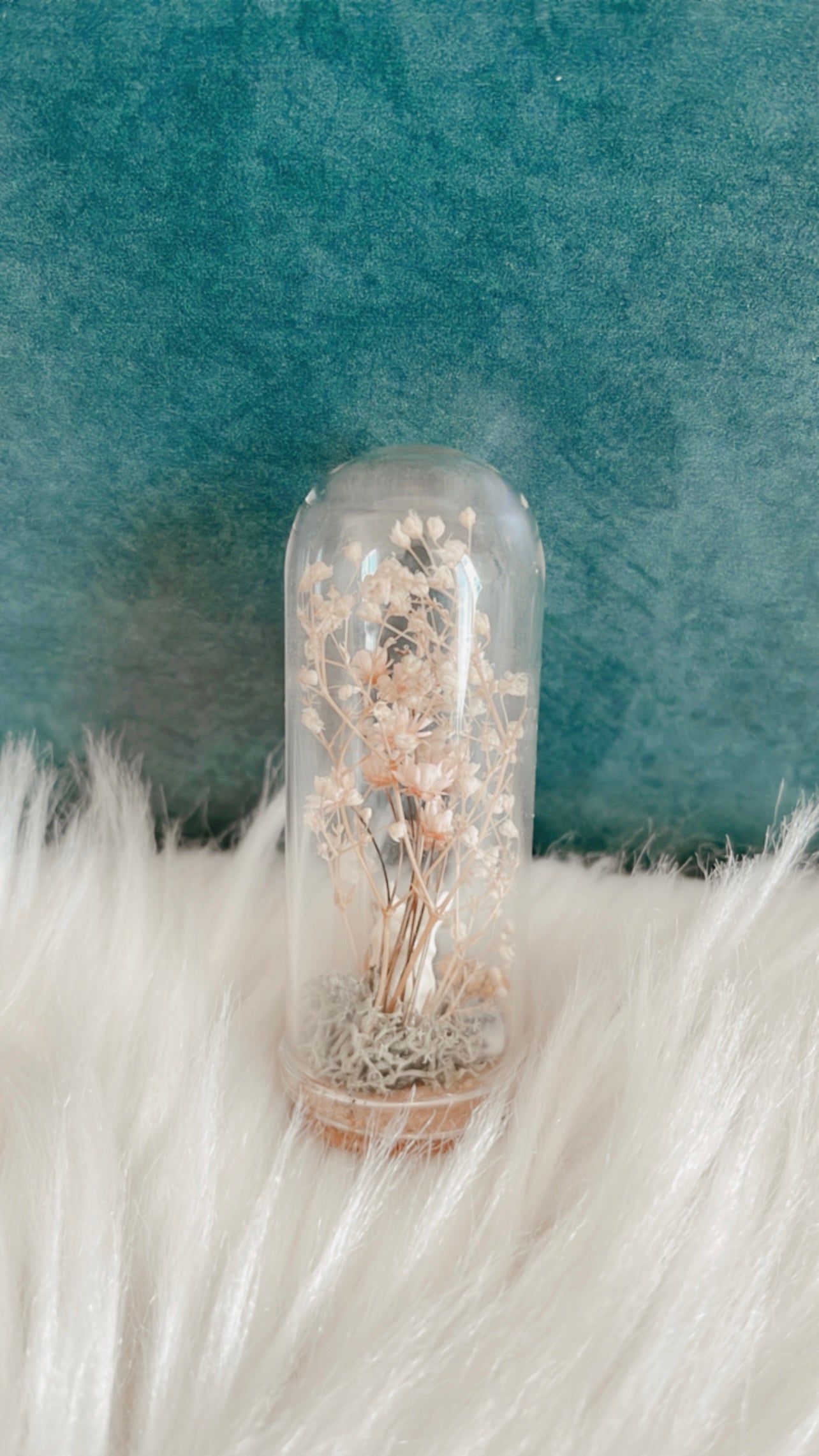 Alice Terrarium
