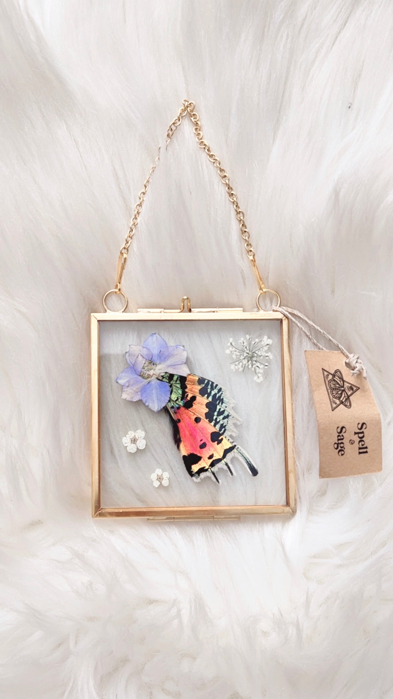 Allura Moth Floral Frame <3x3in>