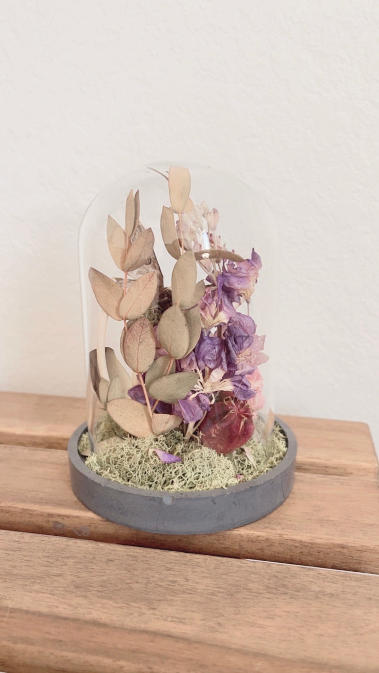 Amelia Terrarium