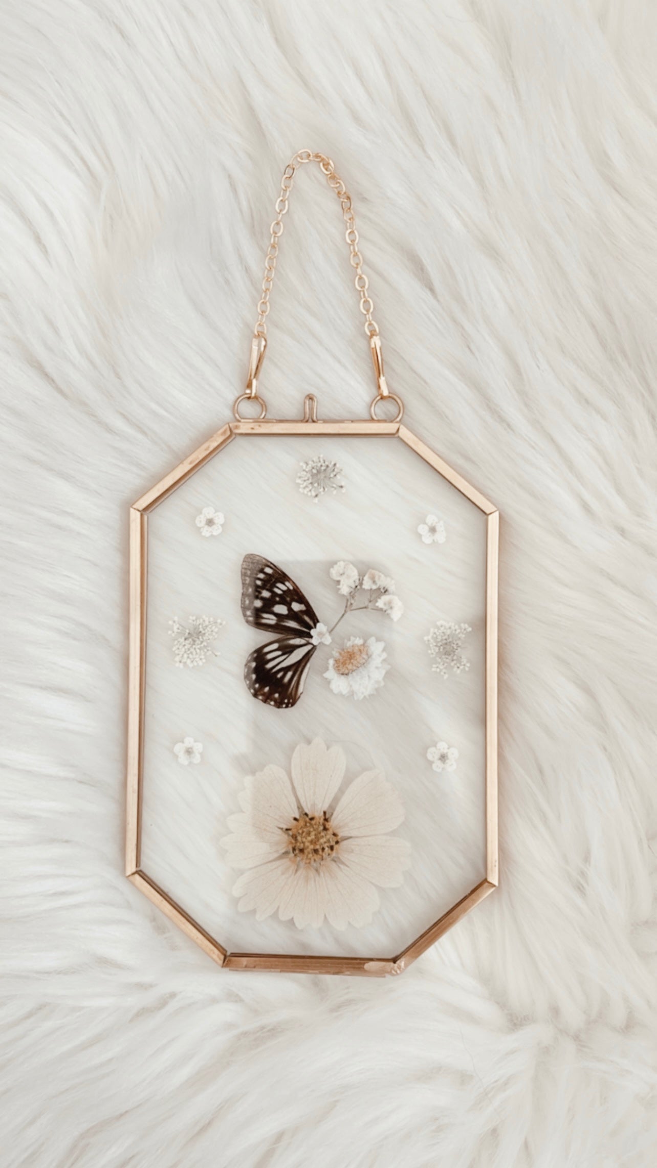 Amelie Butterfly Floral Frame