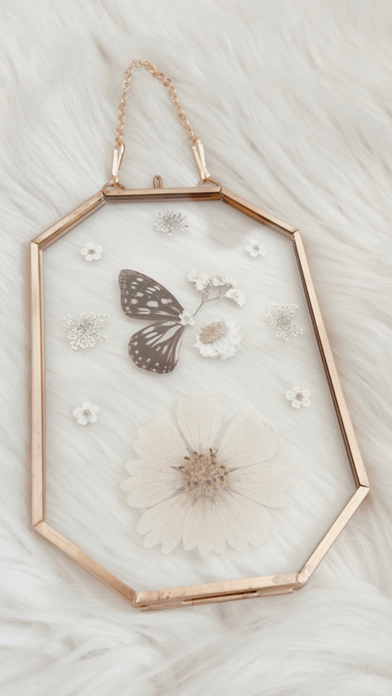 Amelie Butterfly Floral Frame