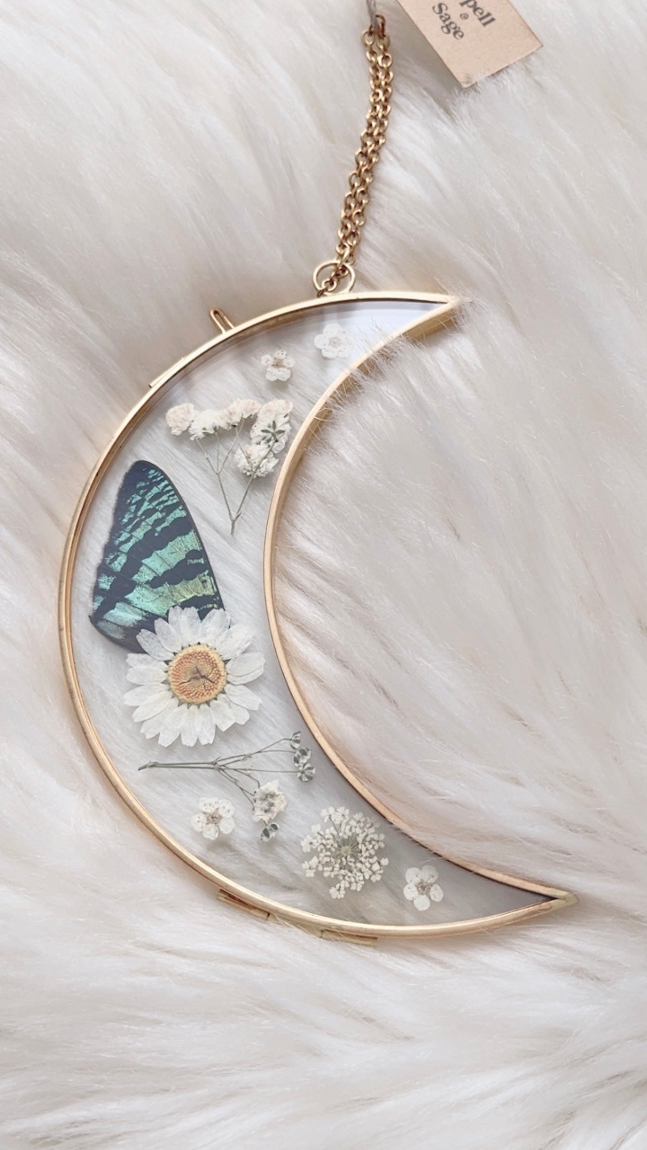 Amy Moth Moon Floral Frame <5.5in>