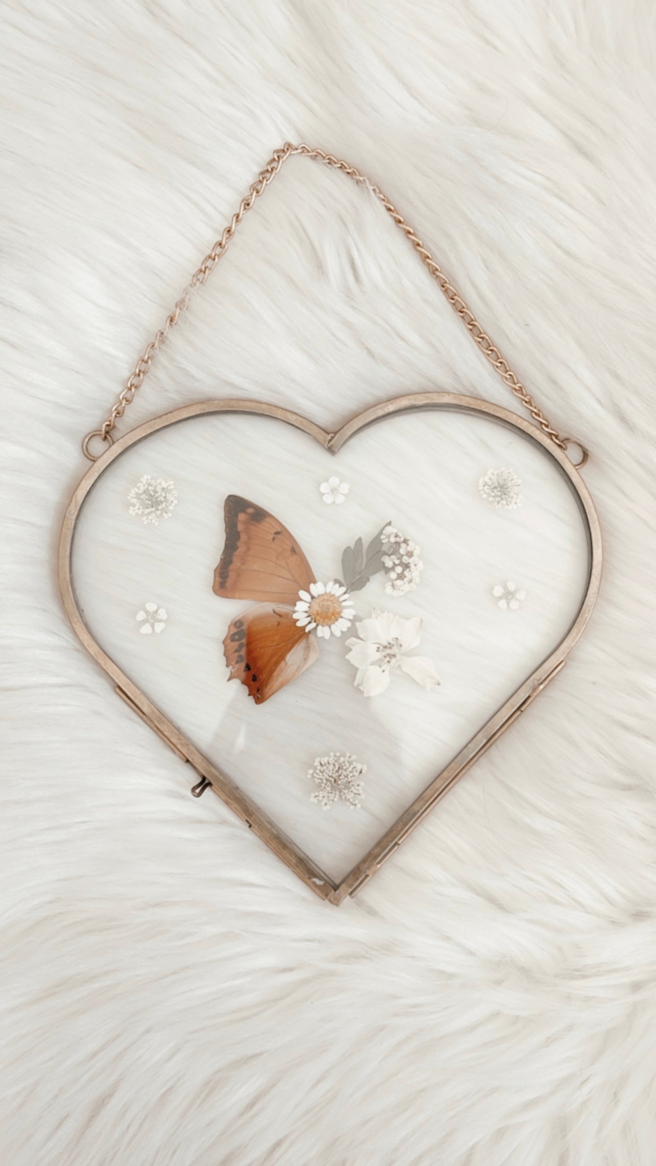 Anais Butterfly Floral Frame