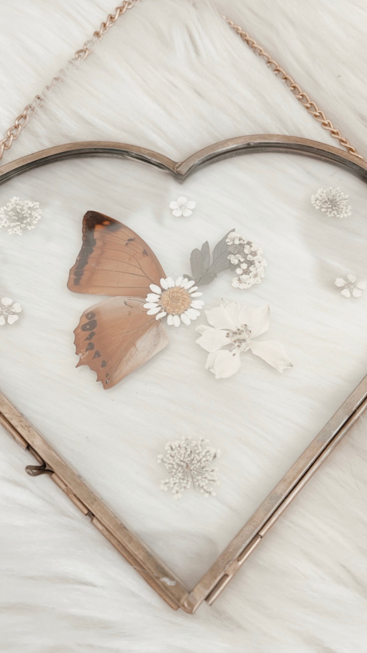Anais Butterfly Floral Frame