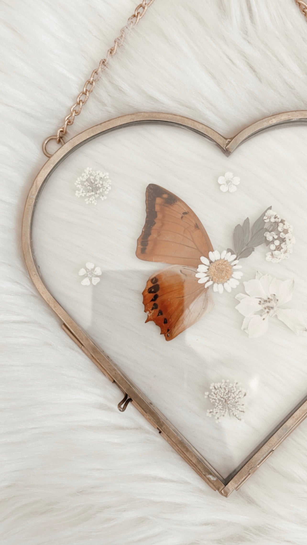 Anais Butterfly Floral Frame