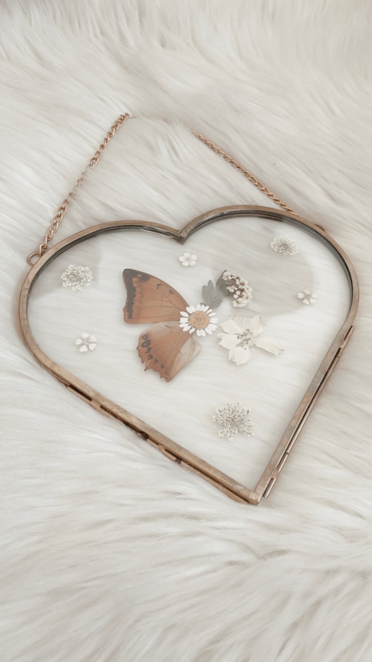 Anais Butterfly Floral Frame