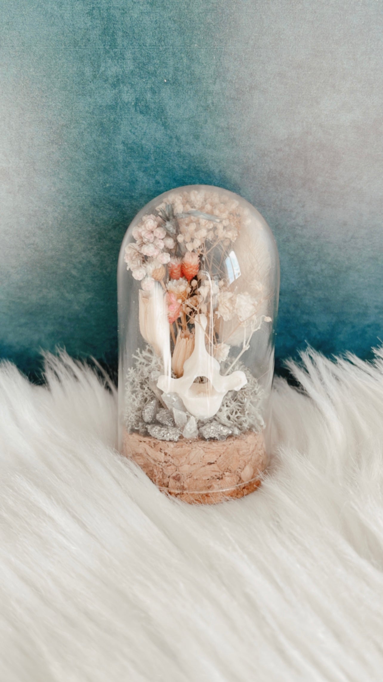 Anna Terrarium