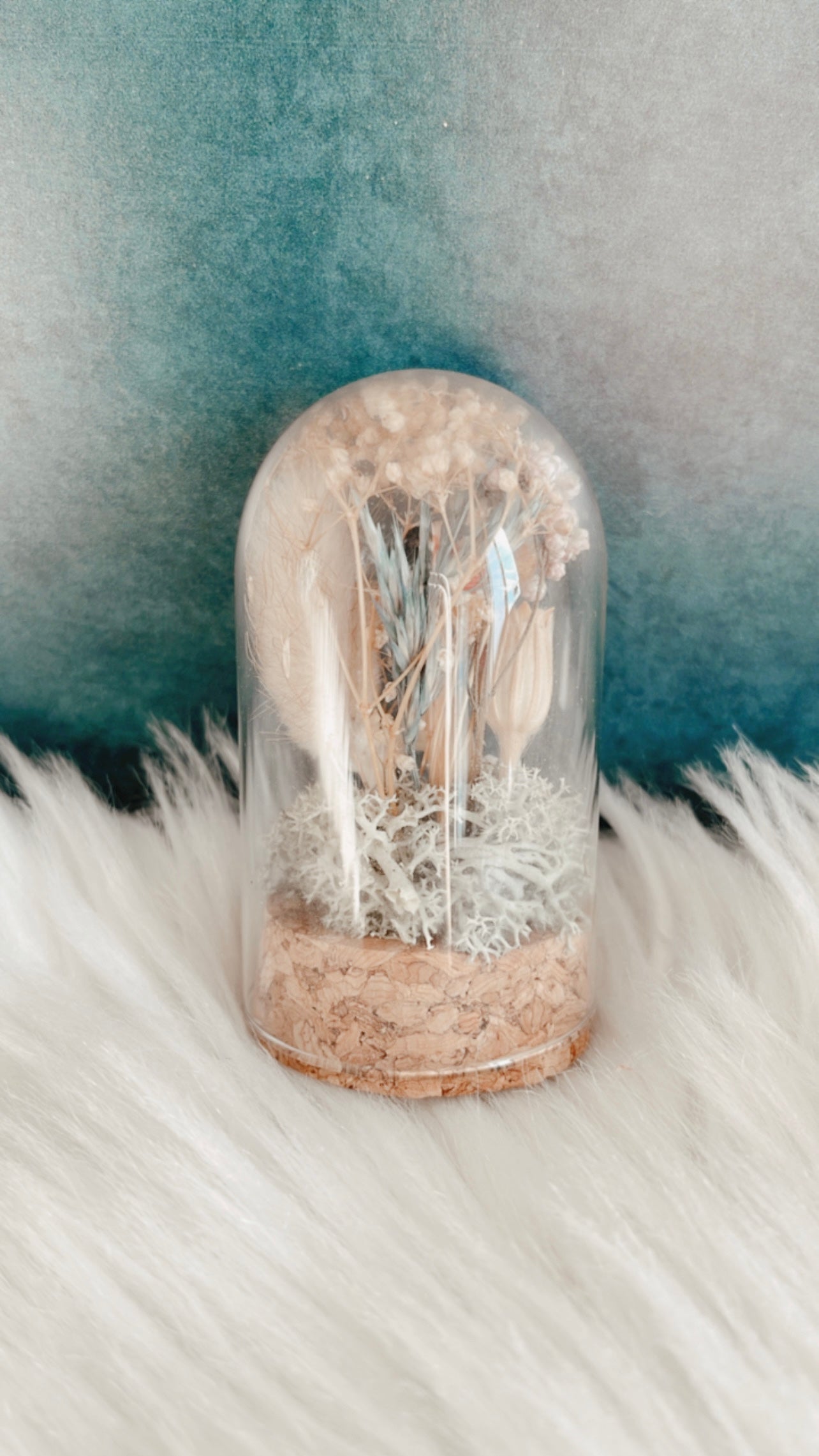 Anna Terrarium