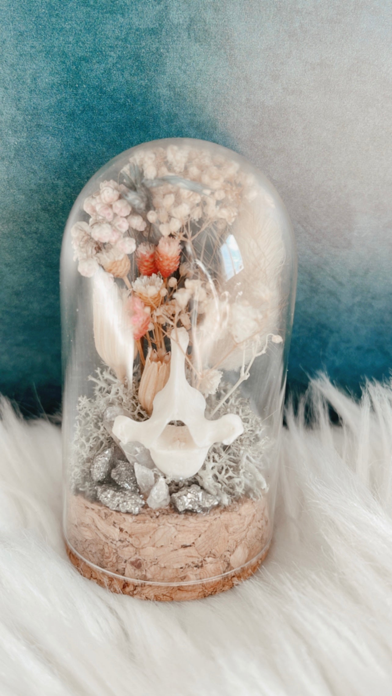 Anna Terrarium