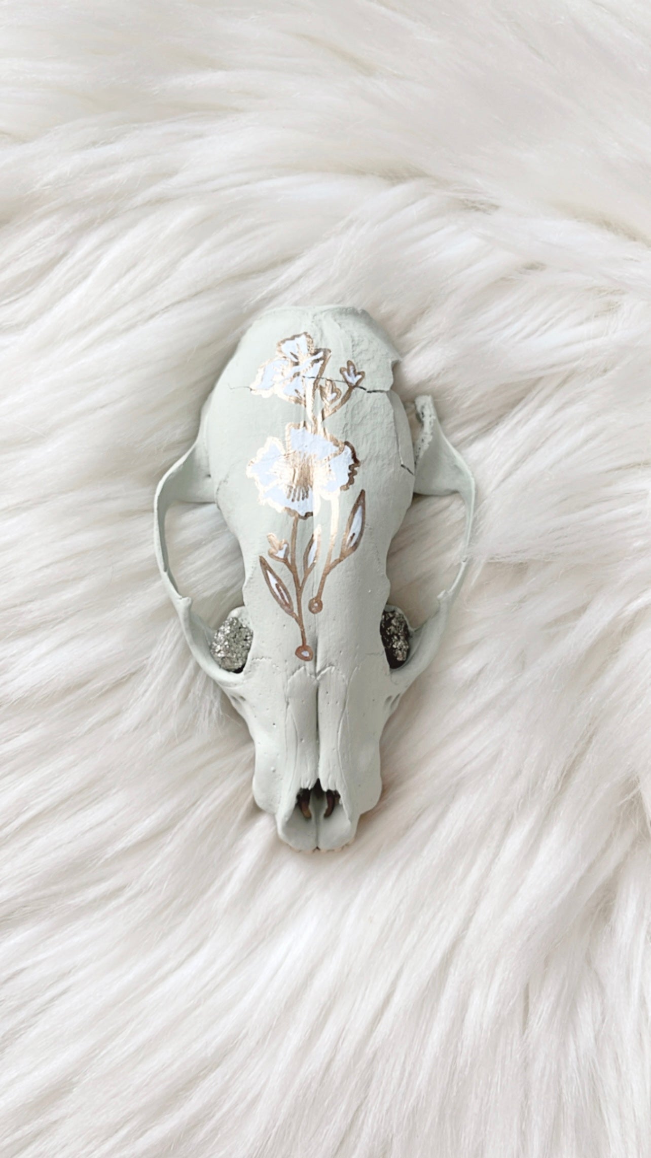 Anne Raccoon Skull