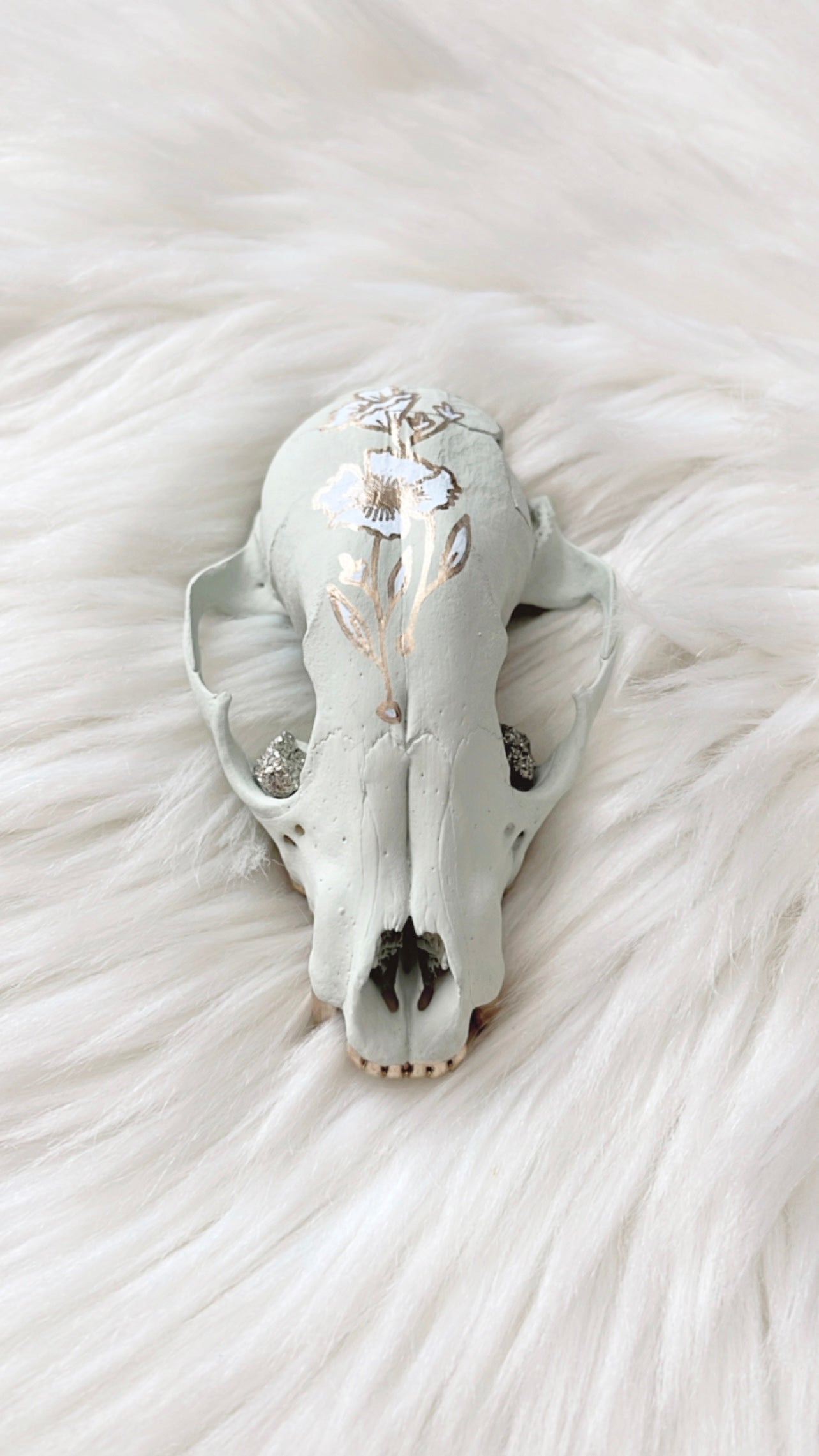 Anne Raccoon Skull