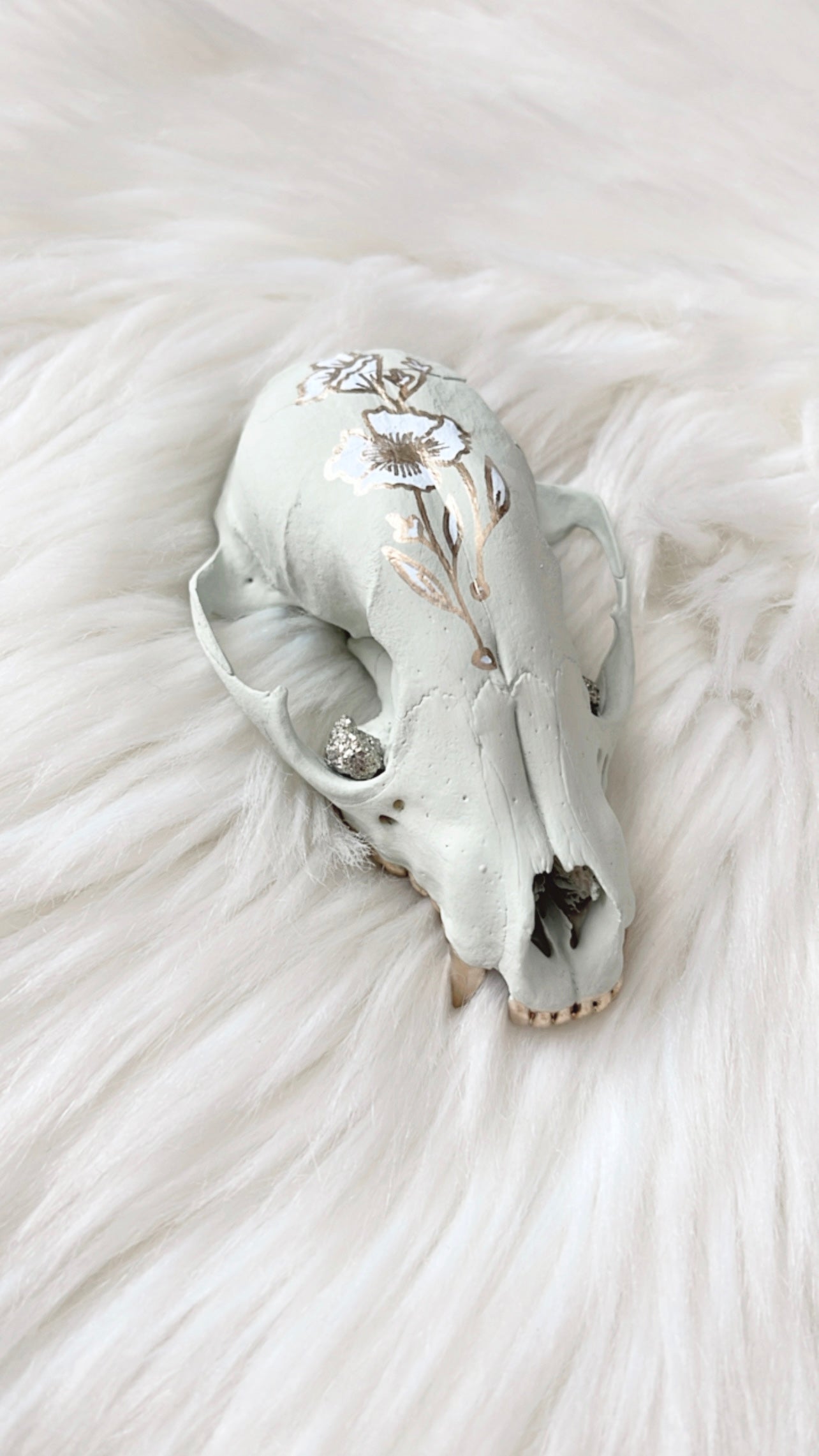 Anne Raccoon Skull