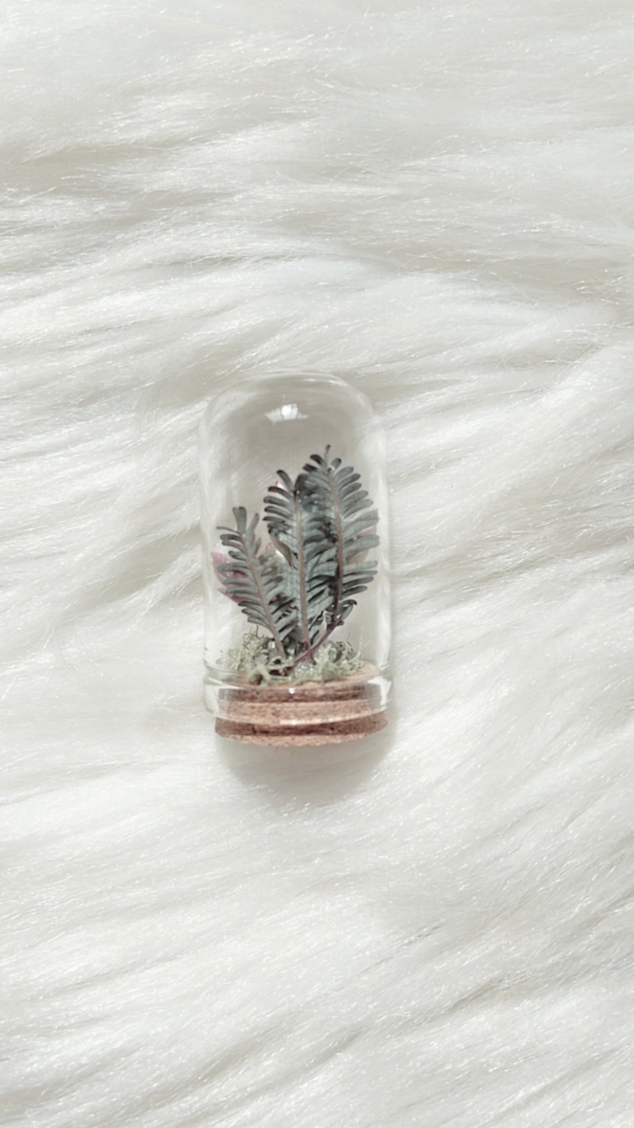 Anne Terrarium