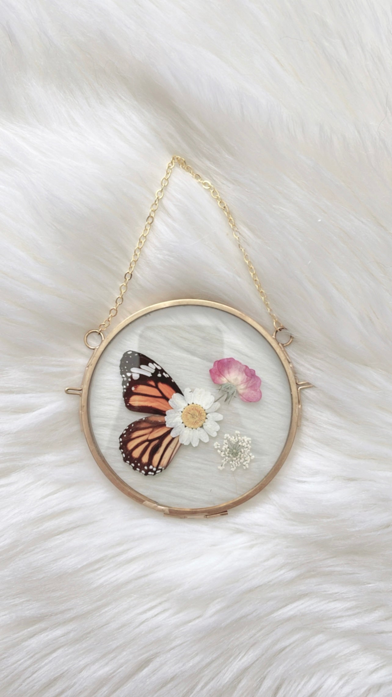 ❋ September 17, 2025 ❋ 6p - Monarch Butterfly Floral Frame