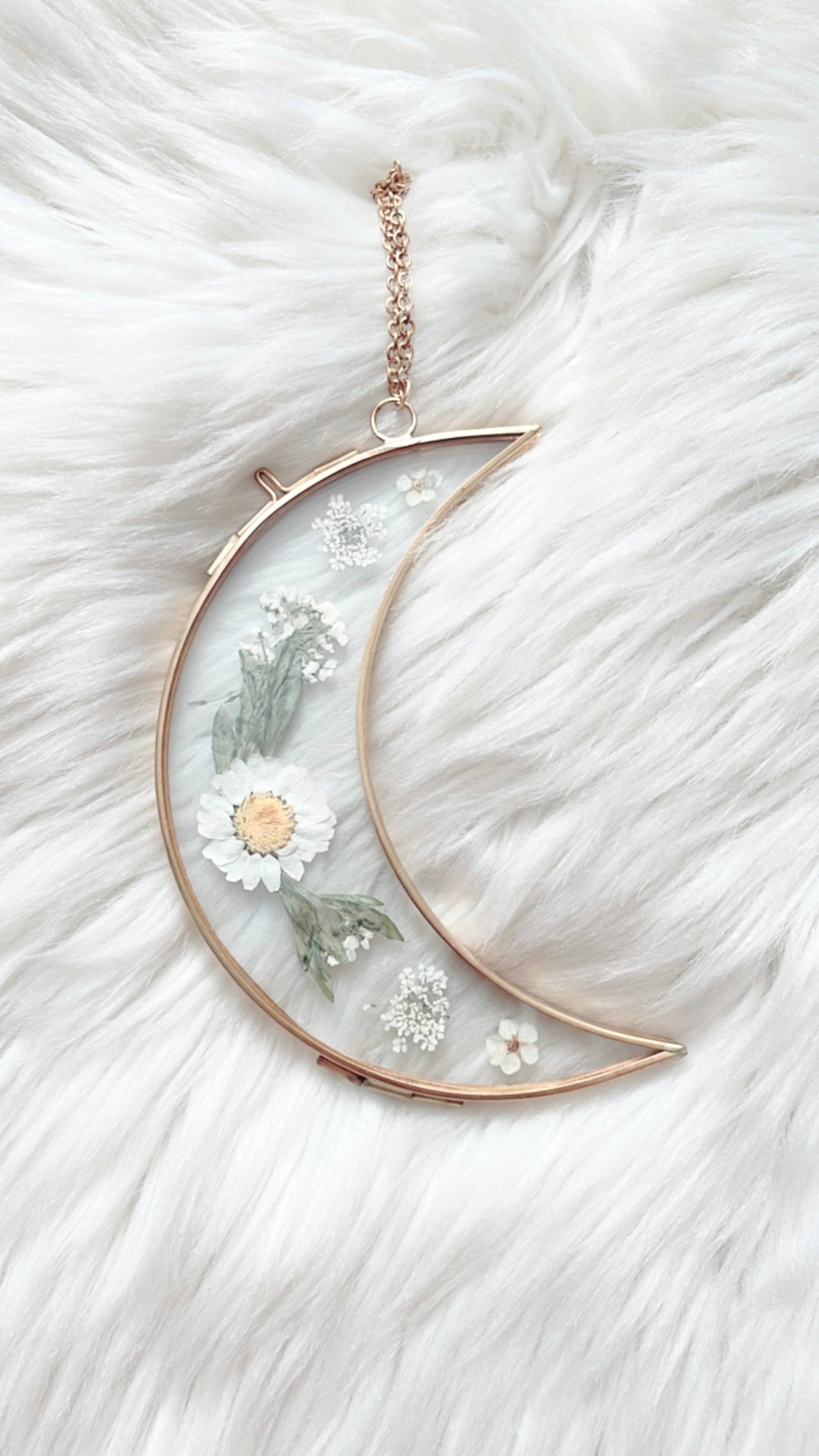 ❋ September 10, 2025 ❋ 6p - Floral Frame (2pcs)