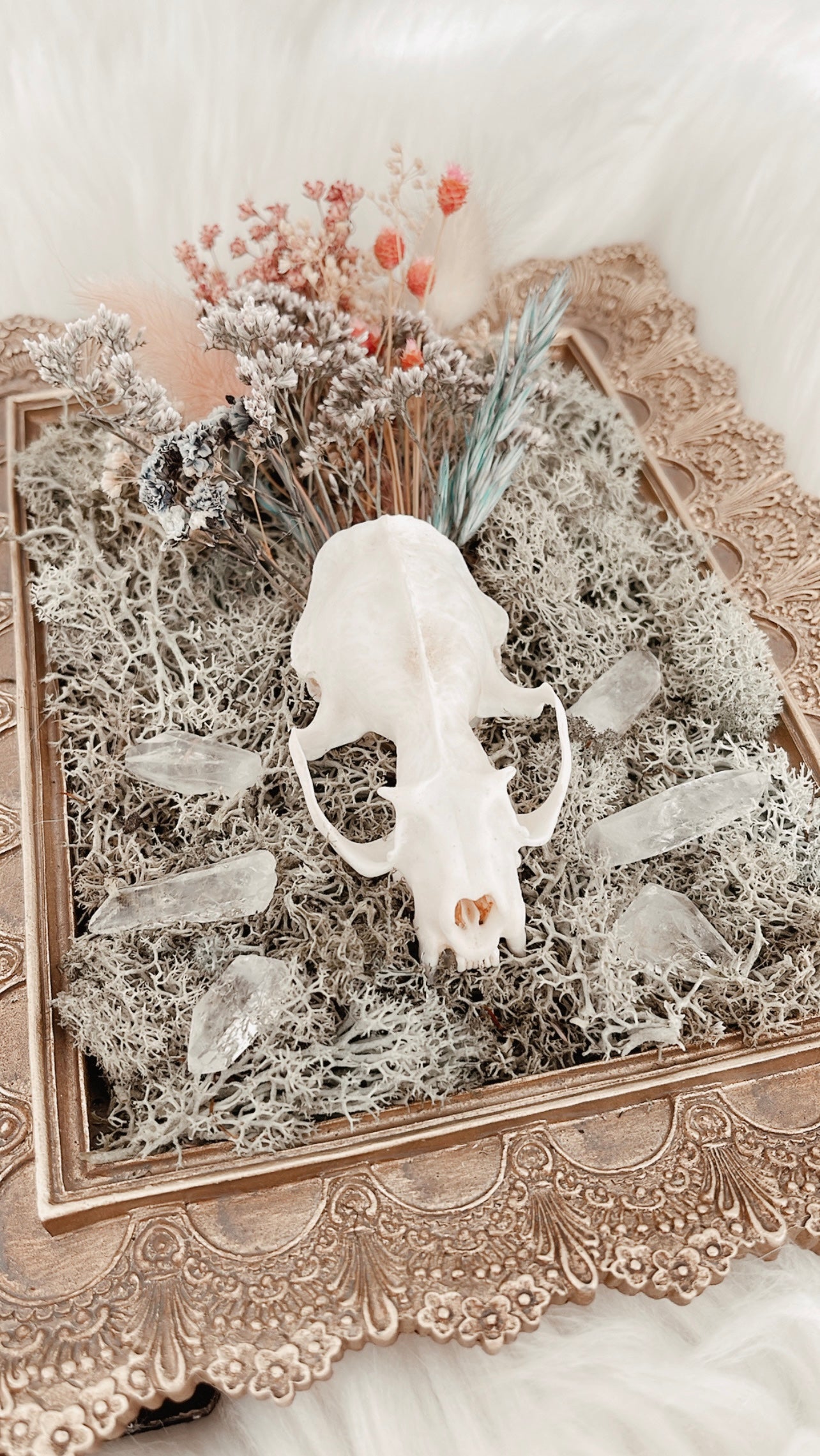 Arcella Nature Frame