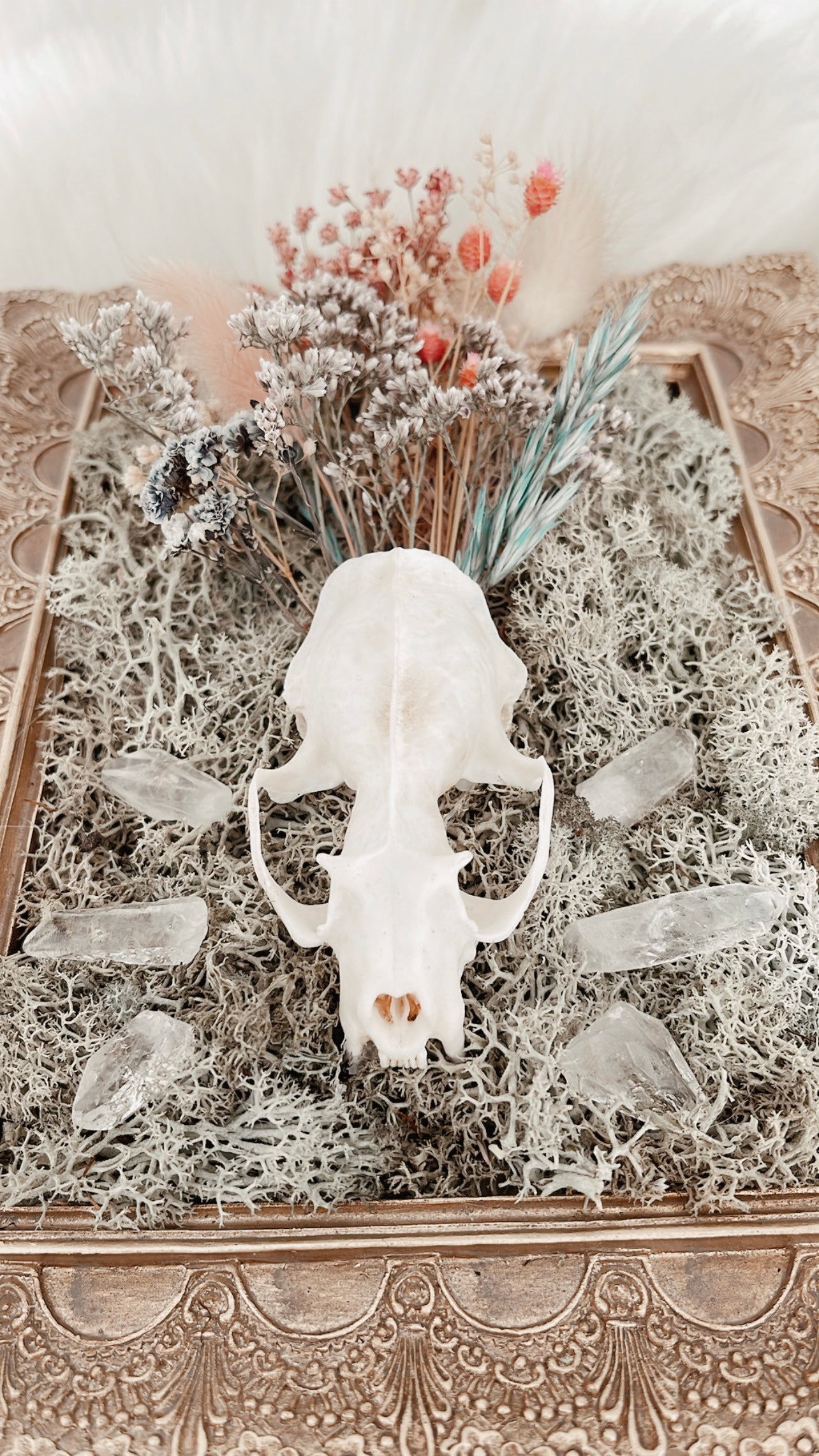 Arcella Nature Frame