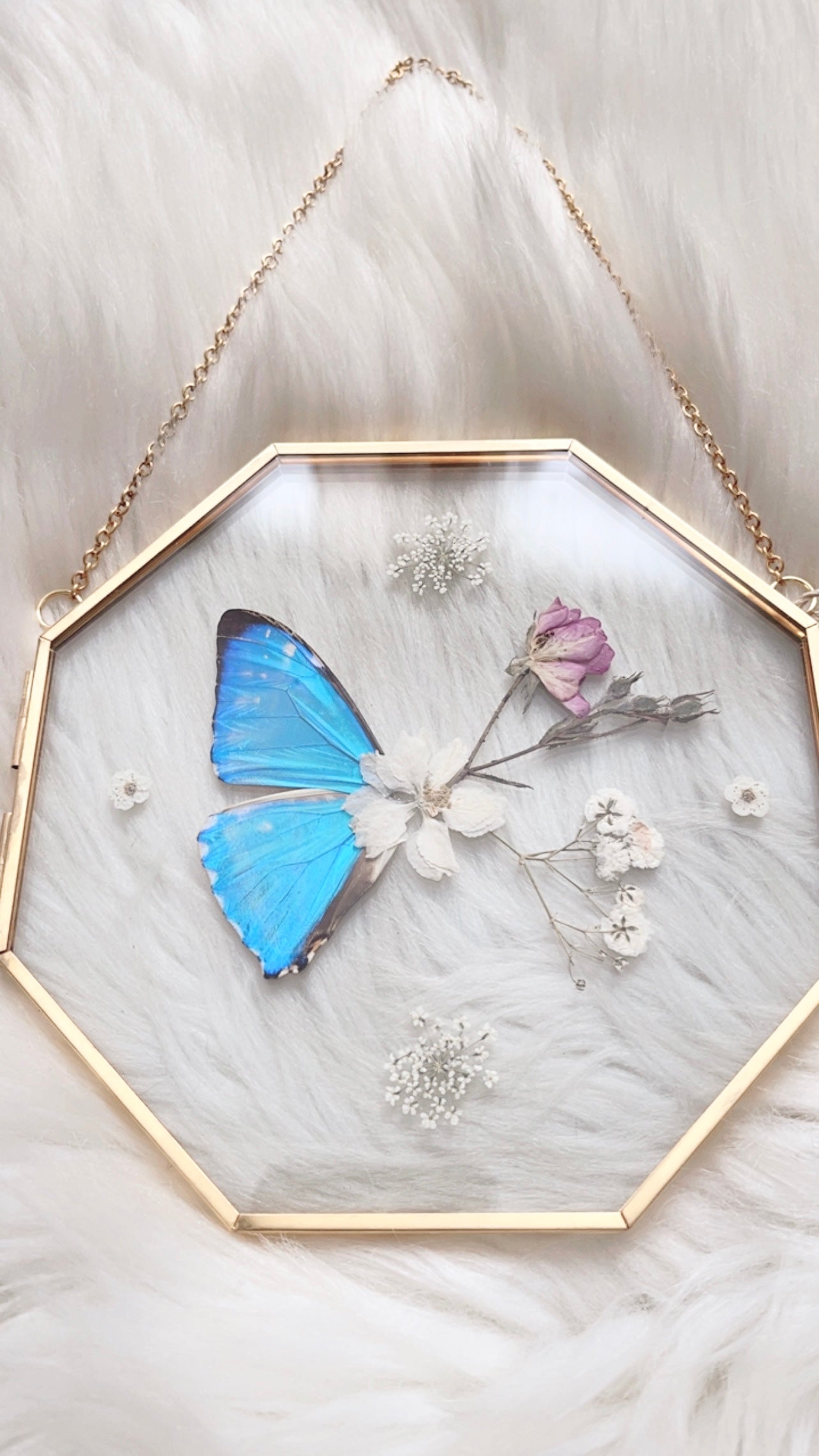 Ari Butterfly Floral Frame <6x6in>