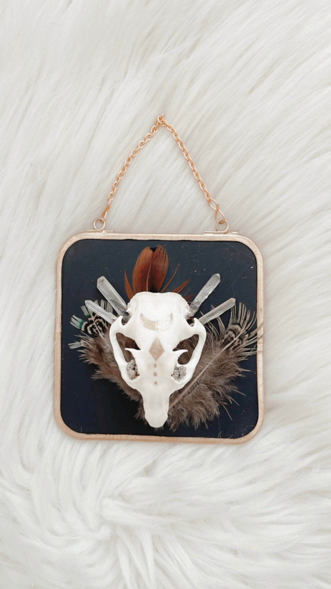 Aro Squirrel Skull Hanging