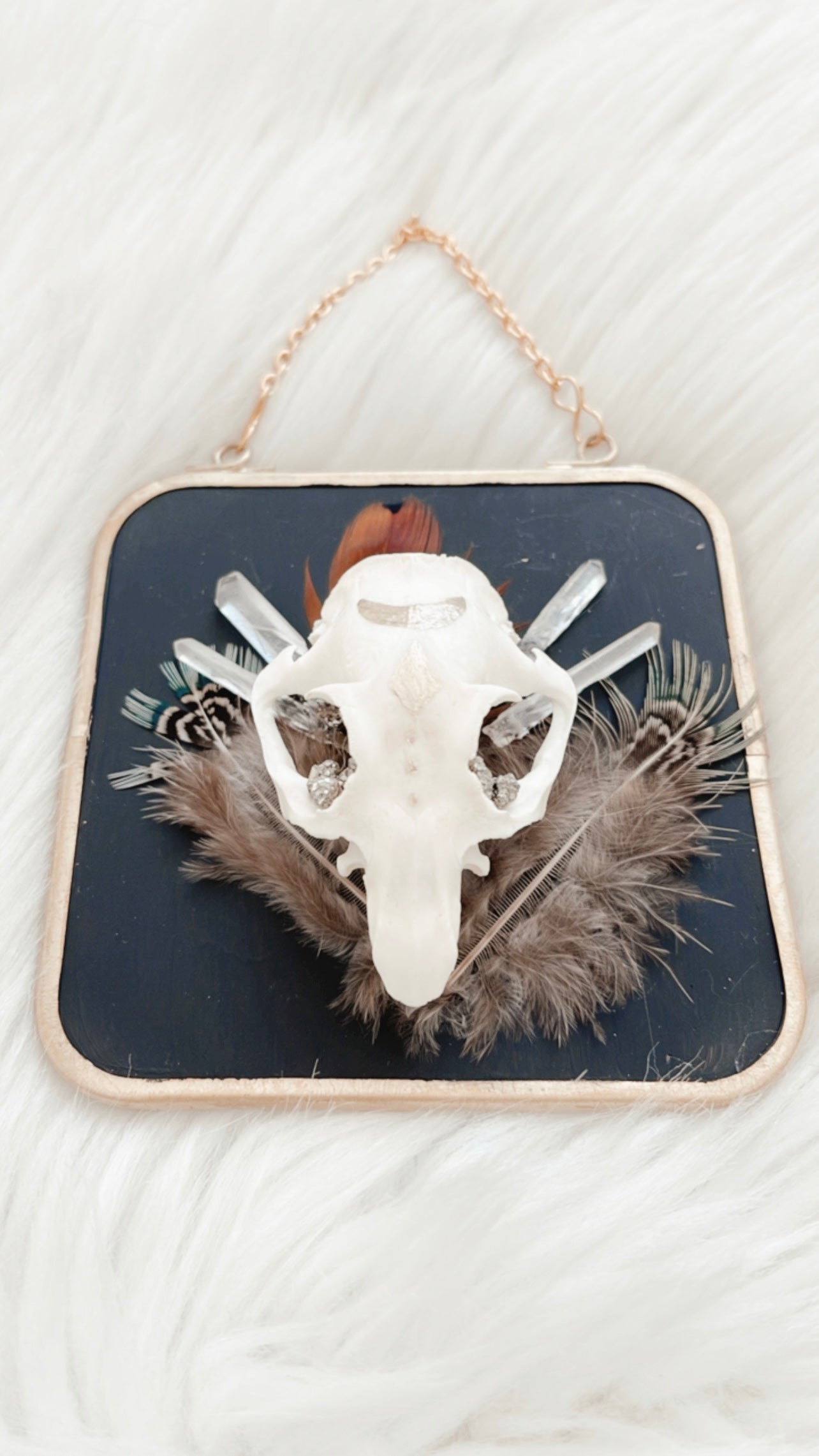 Aro Squirrel Skull Hanging