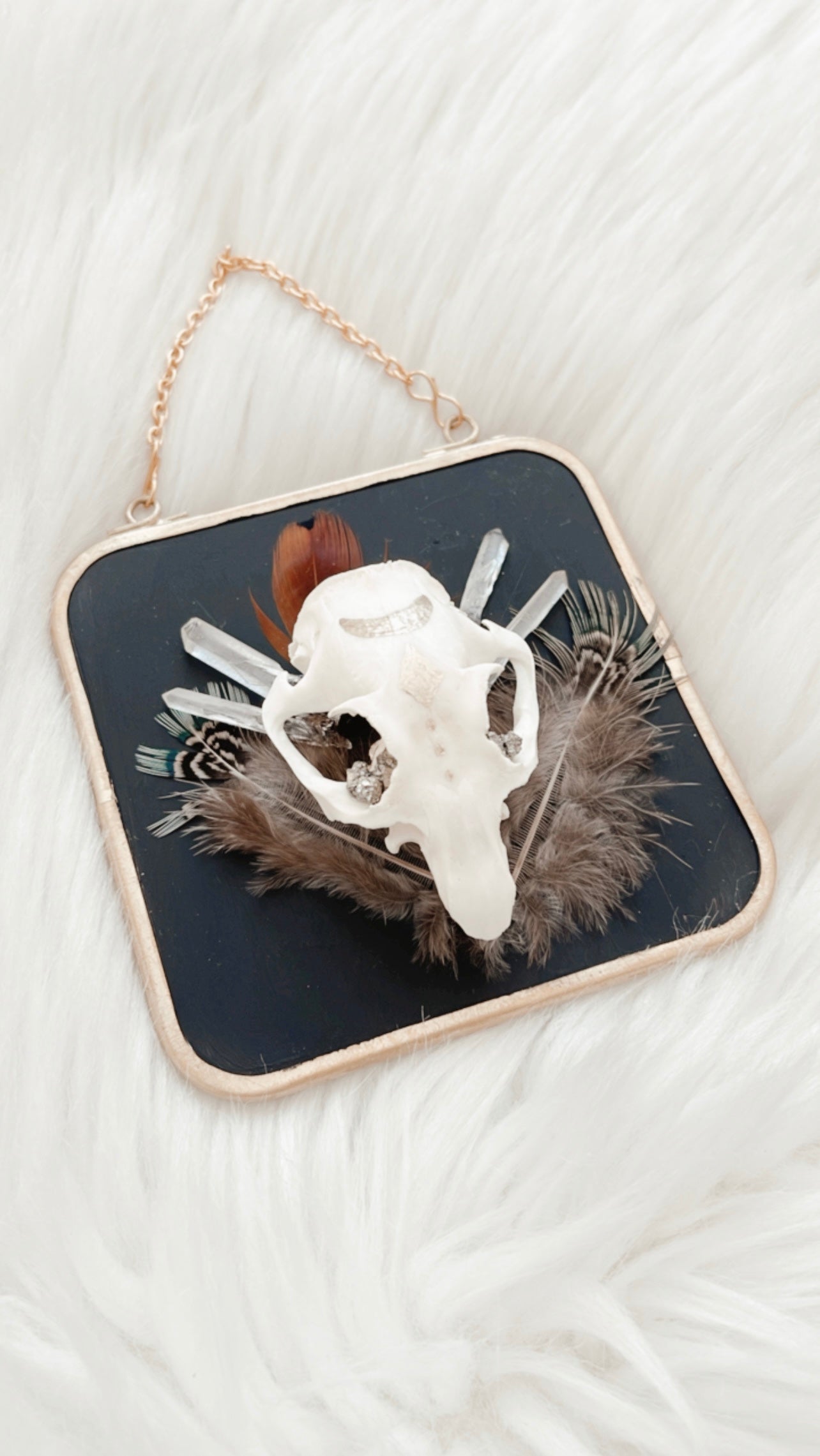 Aro Squirrel Skull Hanging
