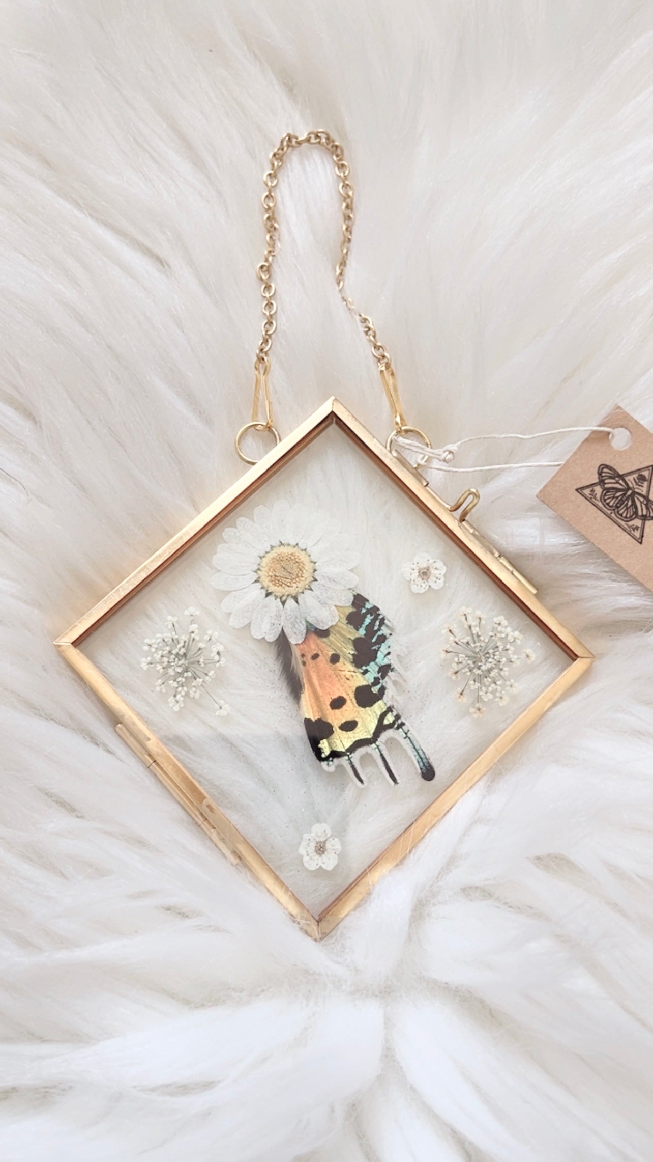 Athena Moth Floral Frame <4x4in>