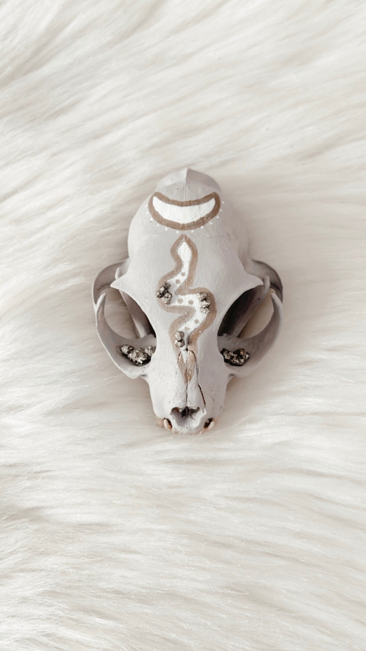 Auden Cat Skull