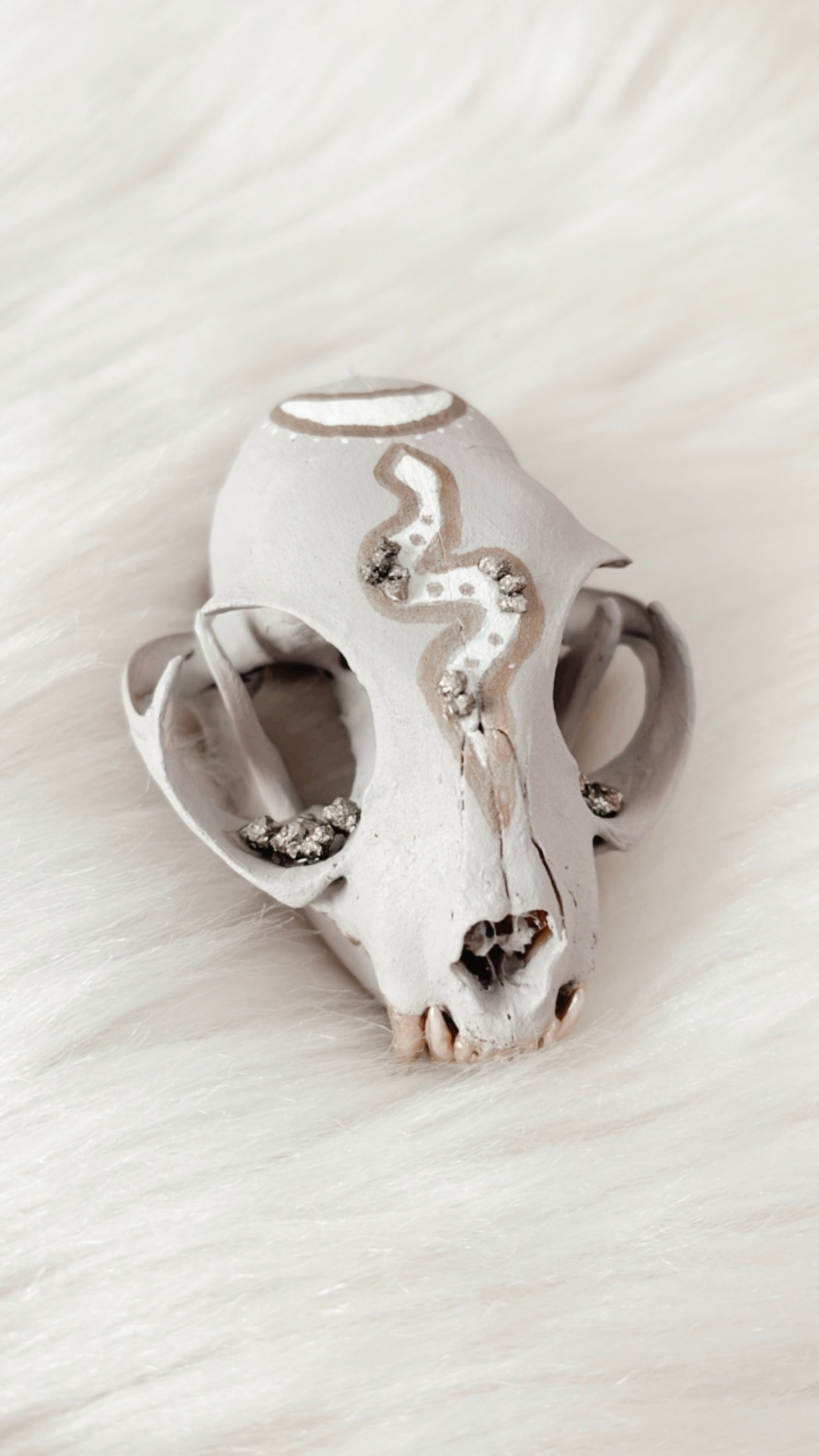 Auden Cat Skull