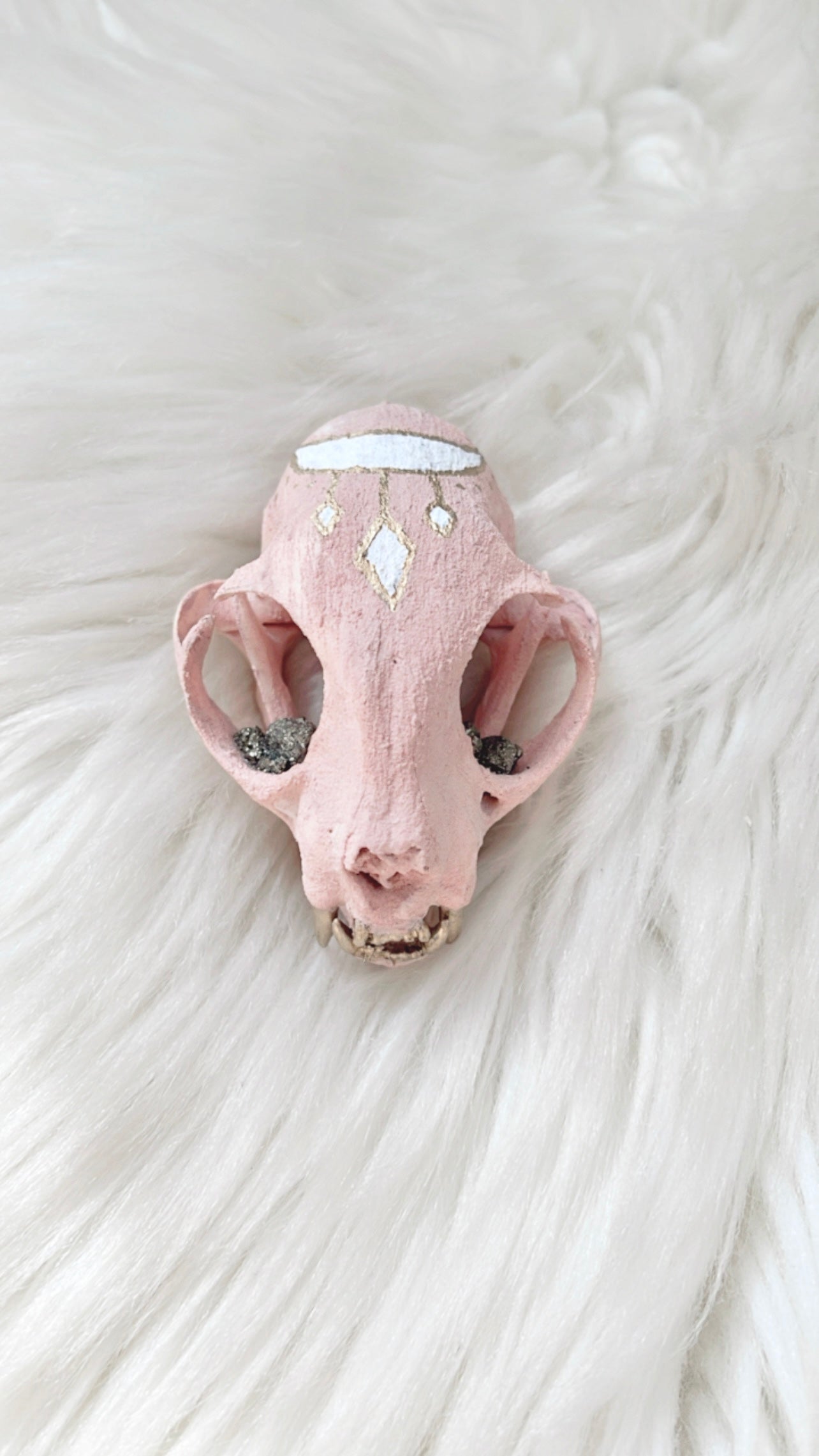 Aurelia Cat Skull