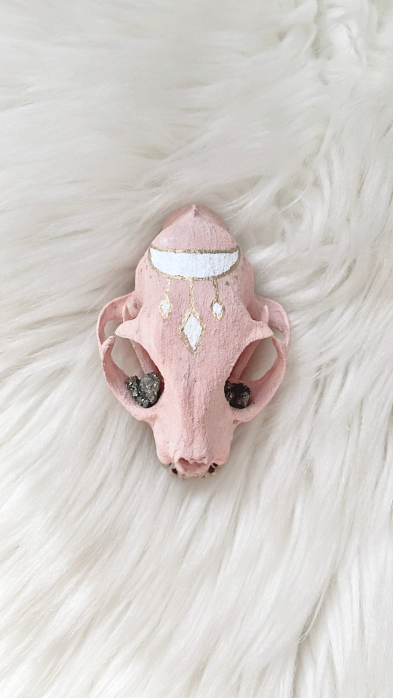 Aurelia Cat Skull