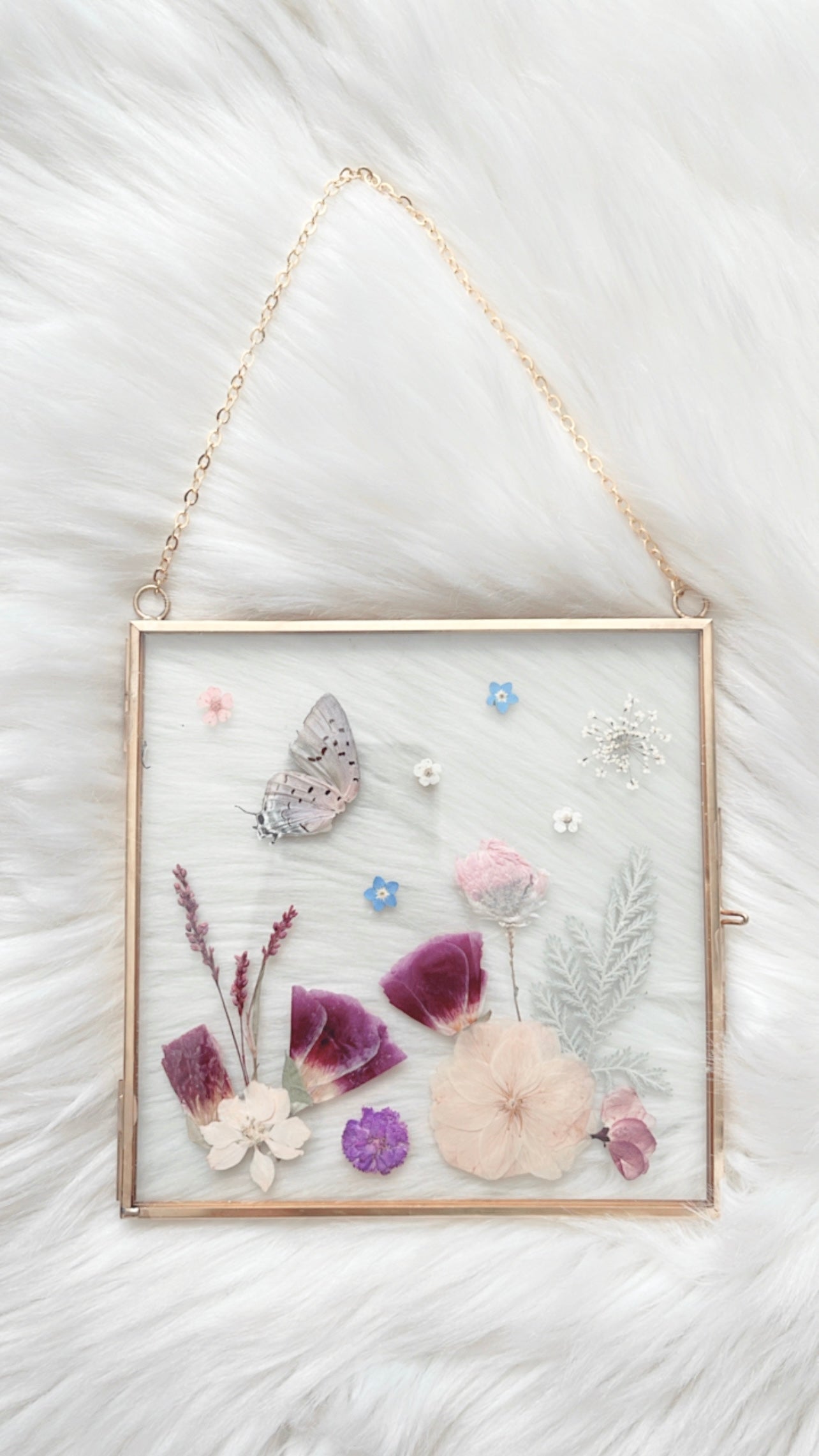 Aurora Butterfly Floral Frame